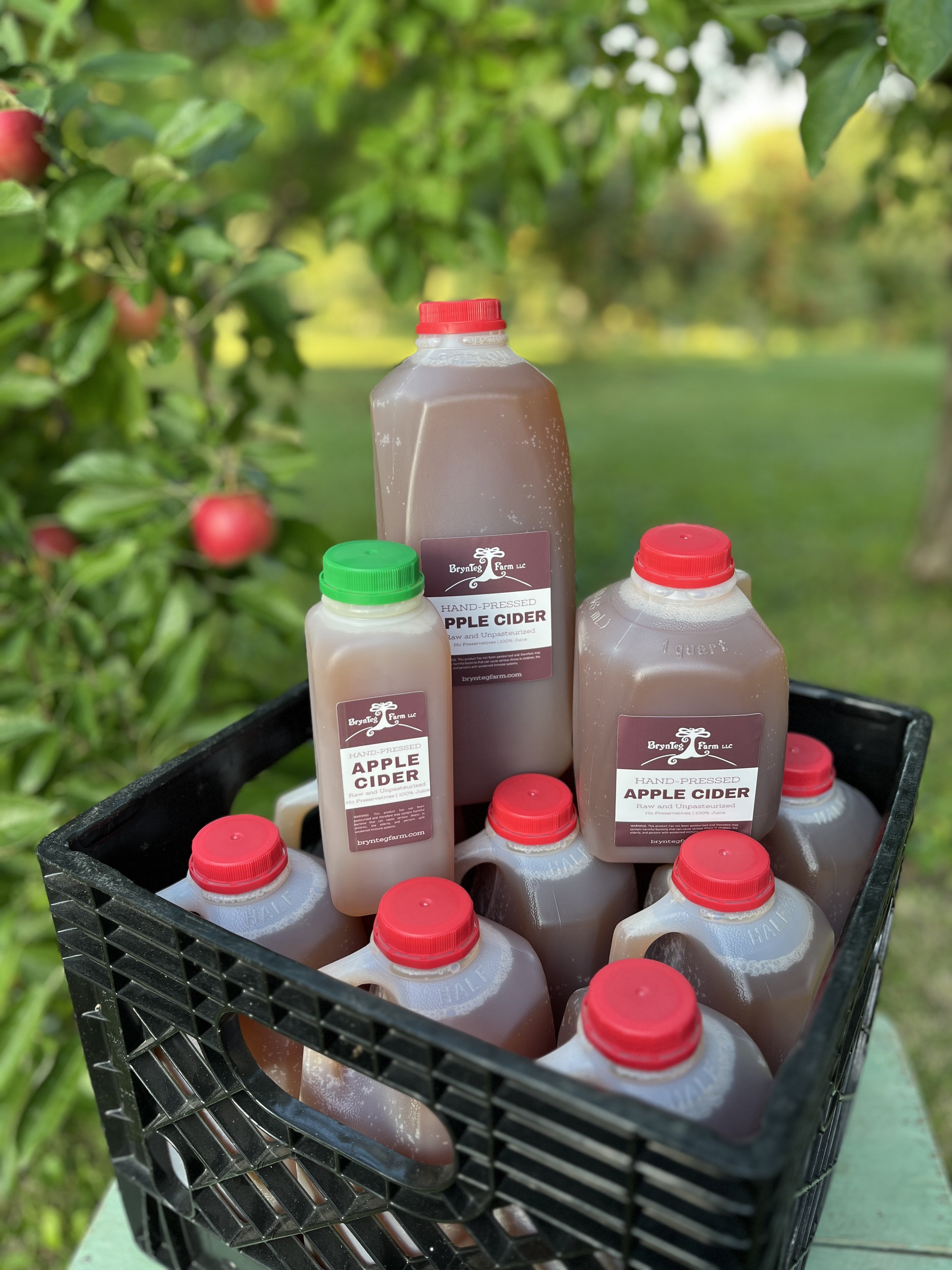 SweetAppleCider-BrynTegFarm-14.jpg