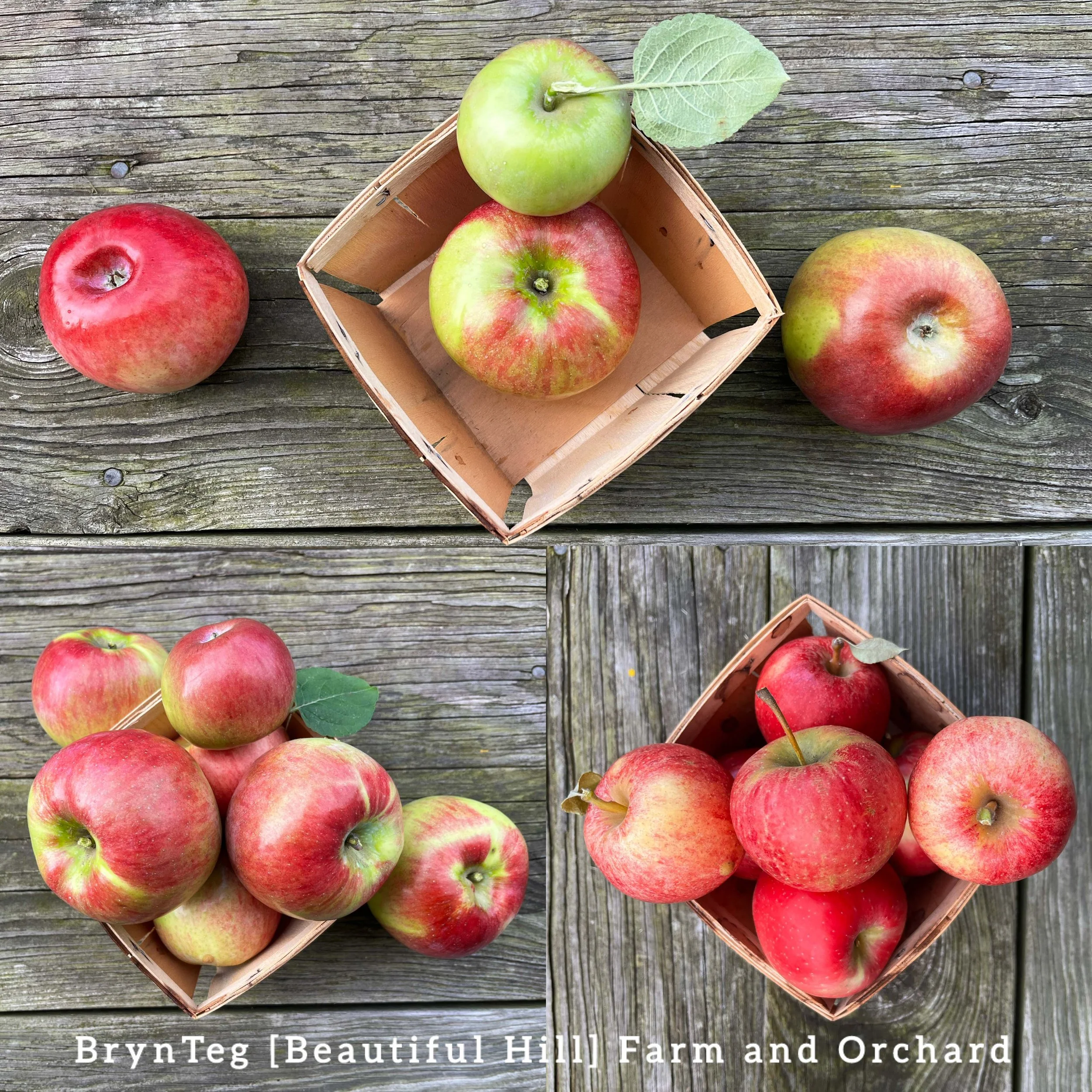 Farm and Orchard Shoppe