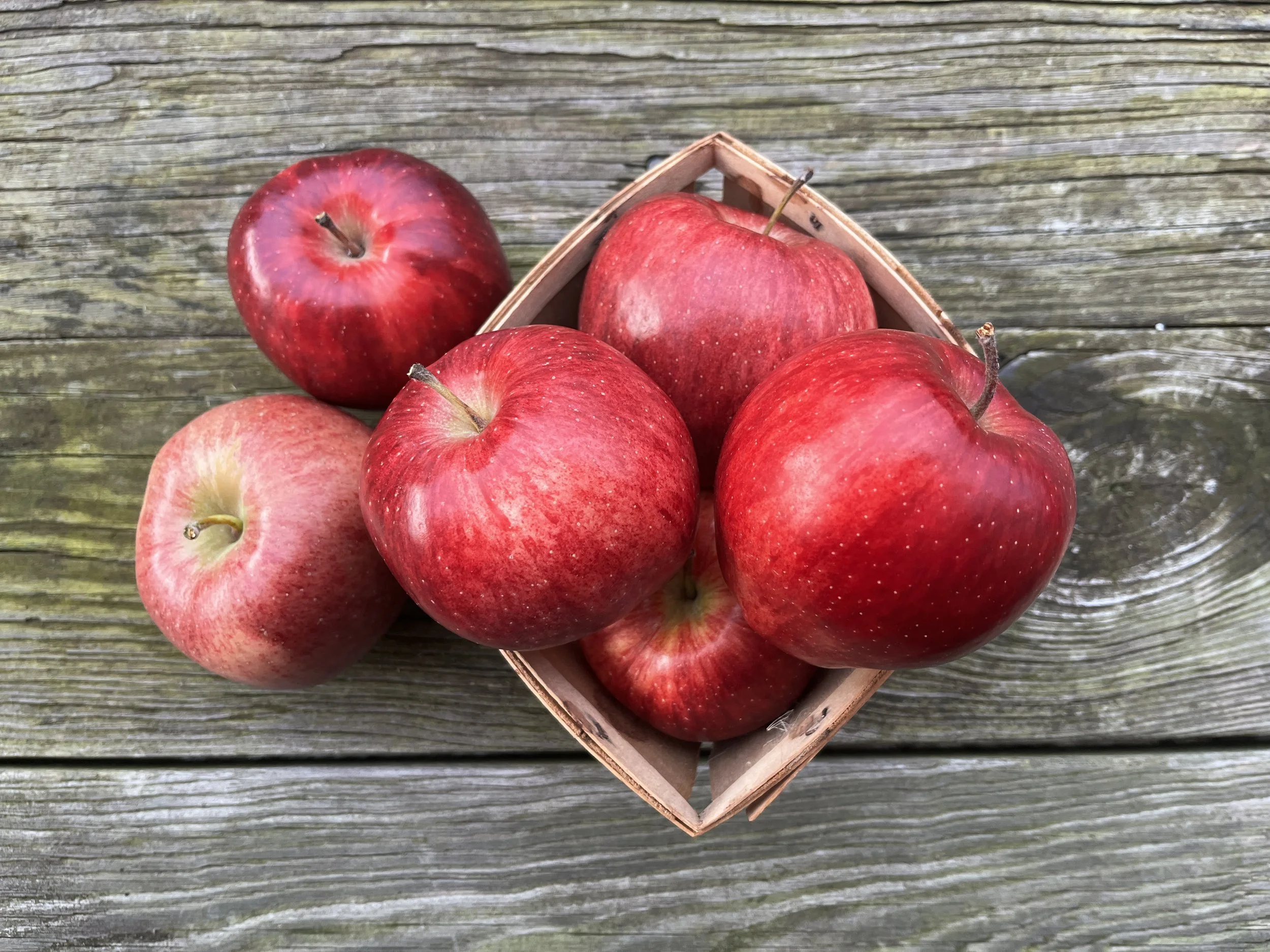 BrynTegFarm_RedDelicious-2.JPG