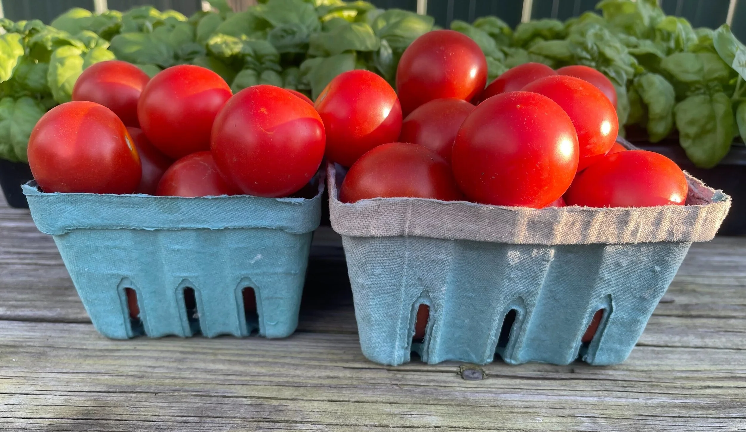 Salad+Tomatoes+BT1.jpg