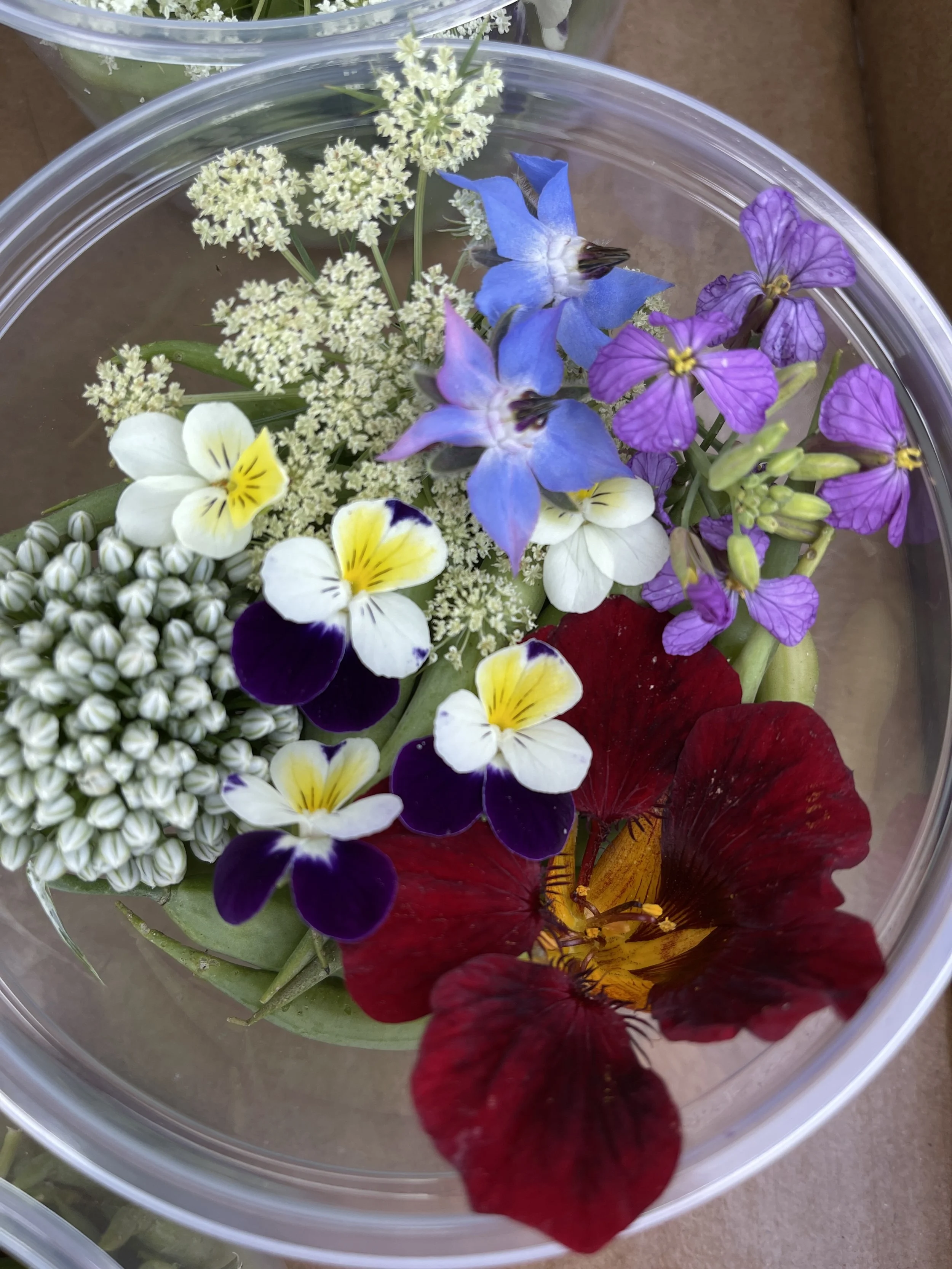 EdibleFlowers-BrynTegFarm-4.JPEG