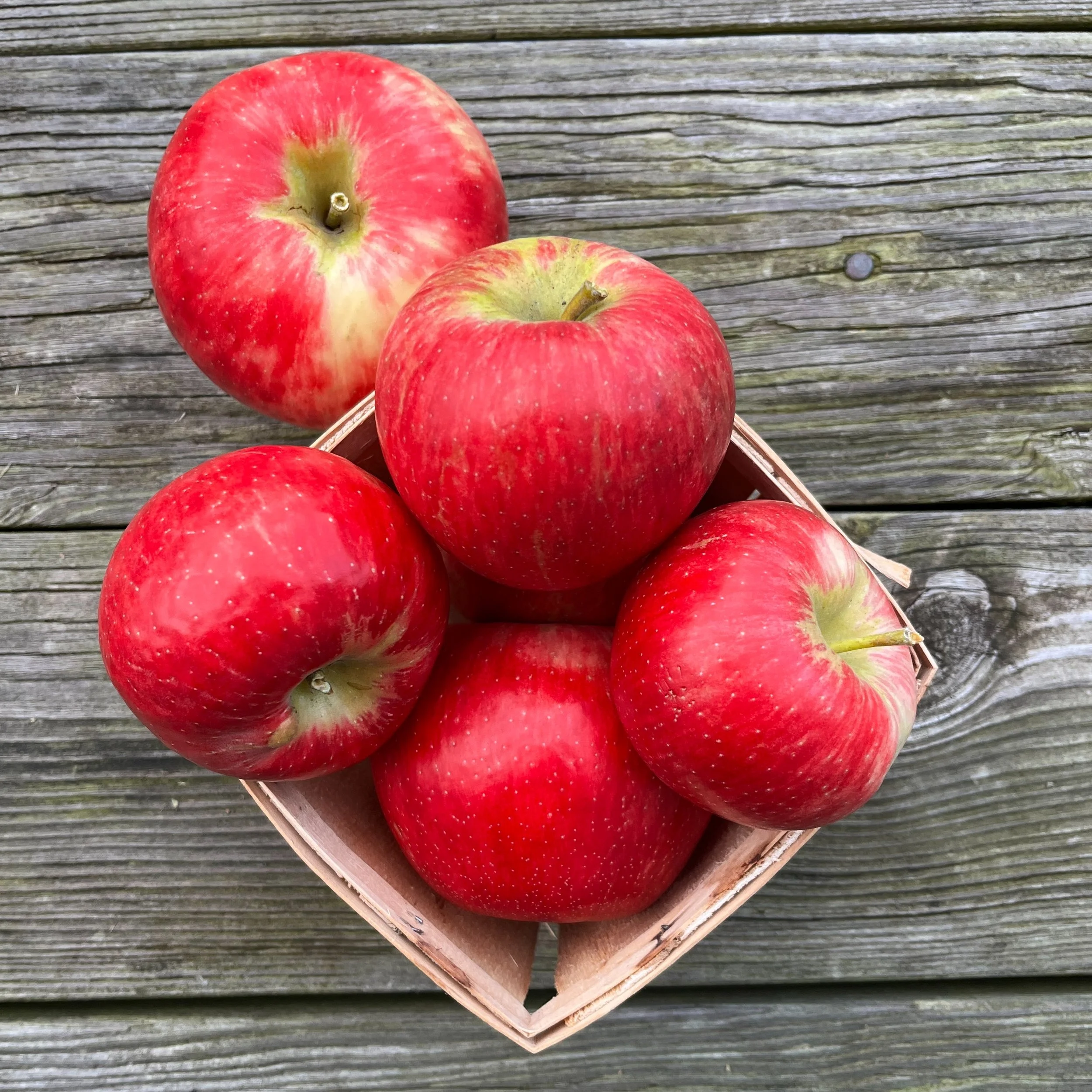 BrynTegFarm_HoneyCrispVarieties_3.jpg