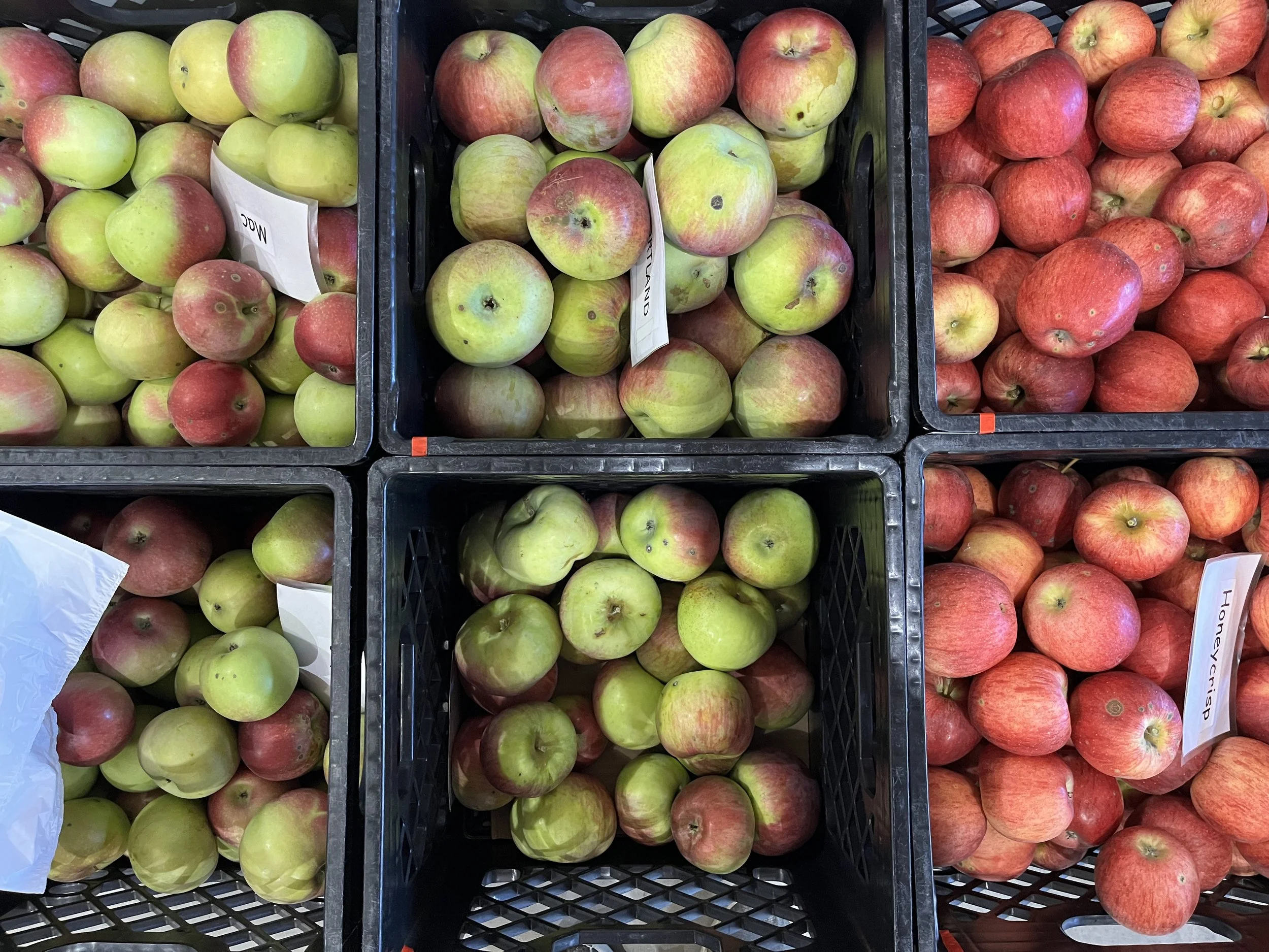 Baking Apples - 2nds
