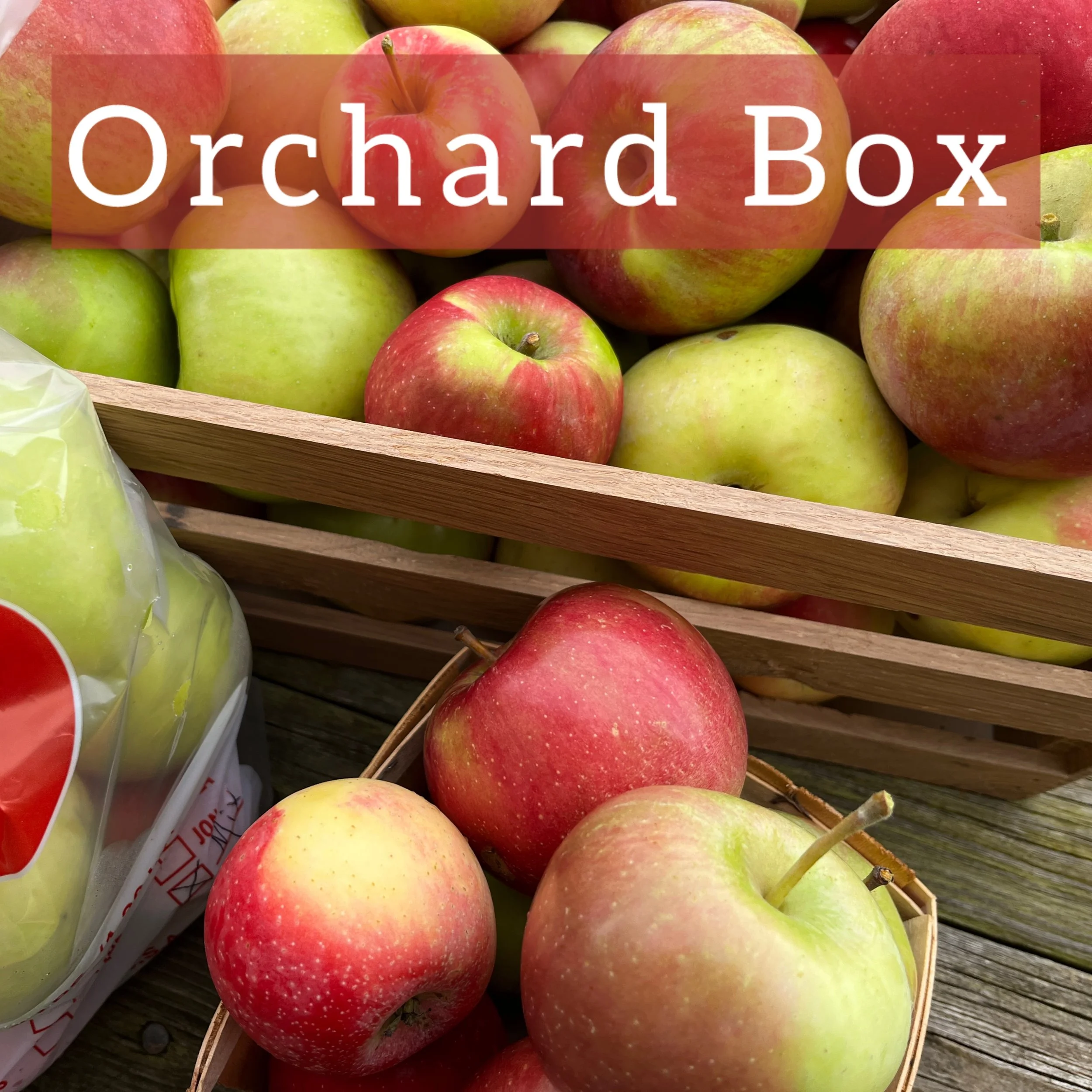 Orchard Box
