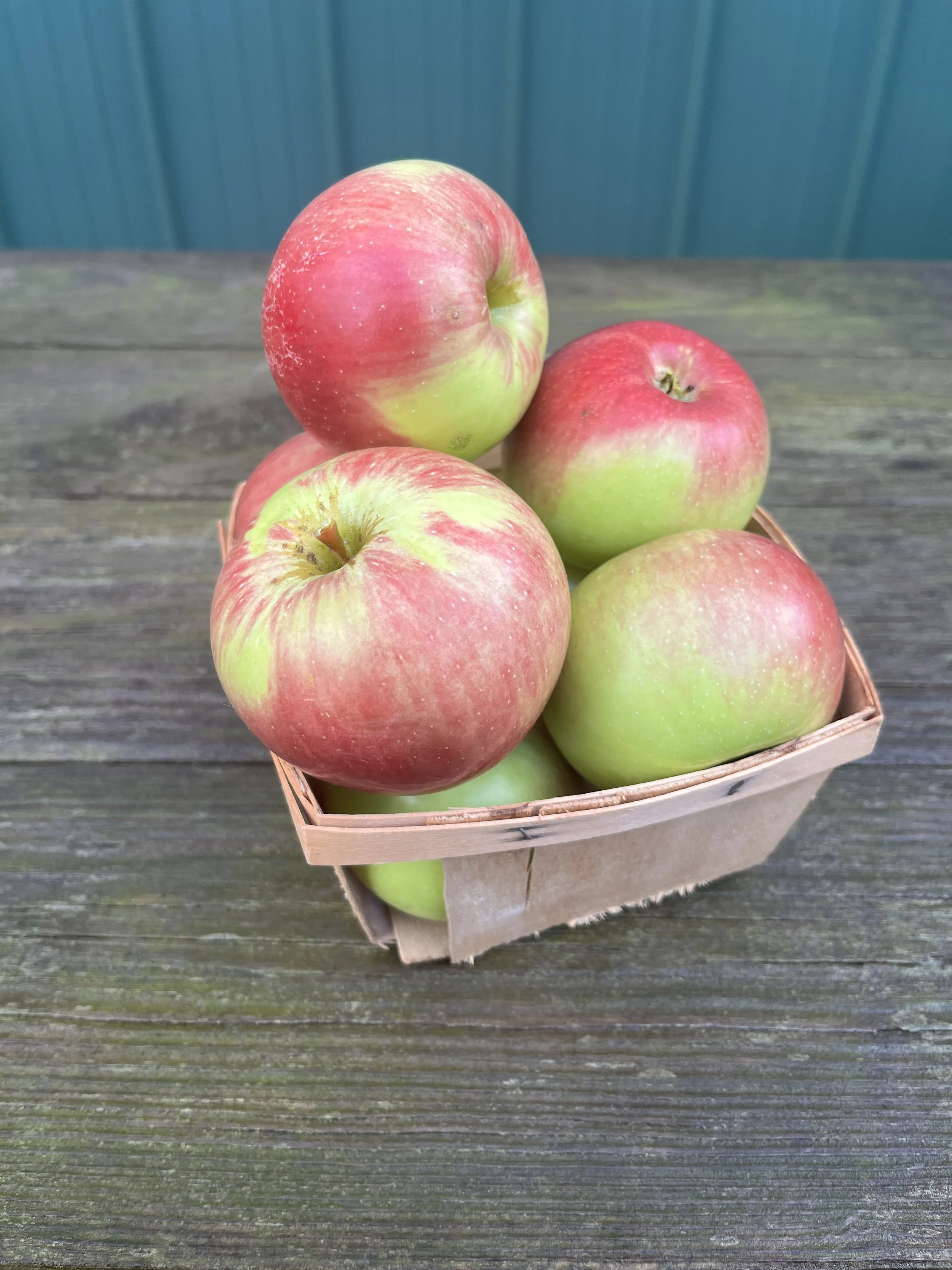 WealthyApples_BrynTegFarm-3.JPG