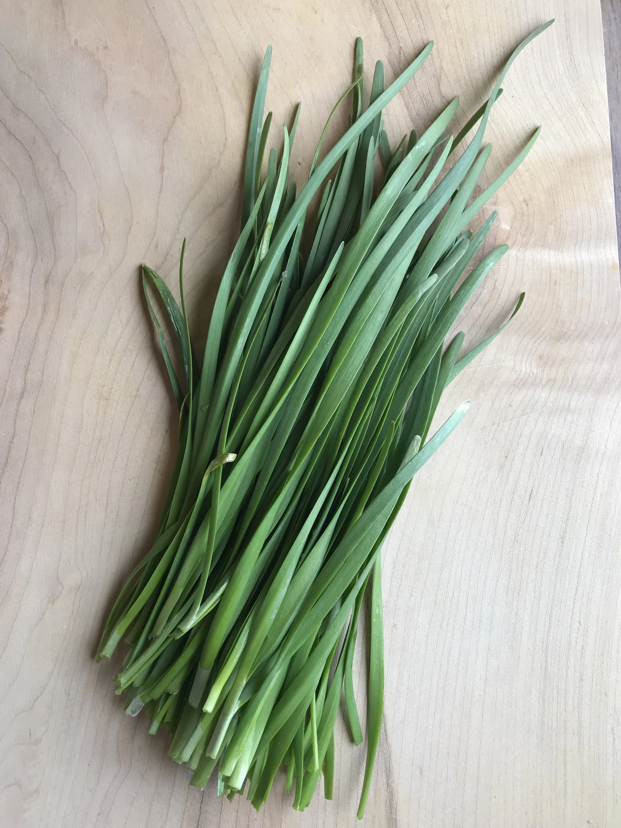 Garlic Chives