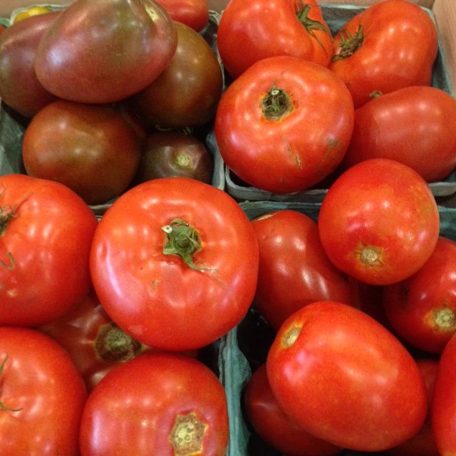Tomatoes_BrynTegFarm_2.jpeg