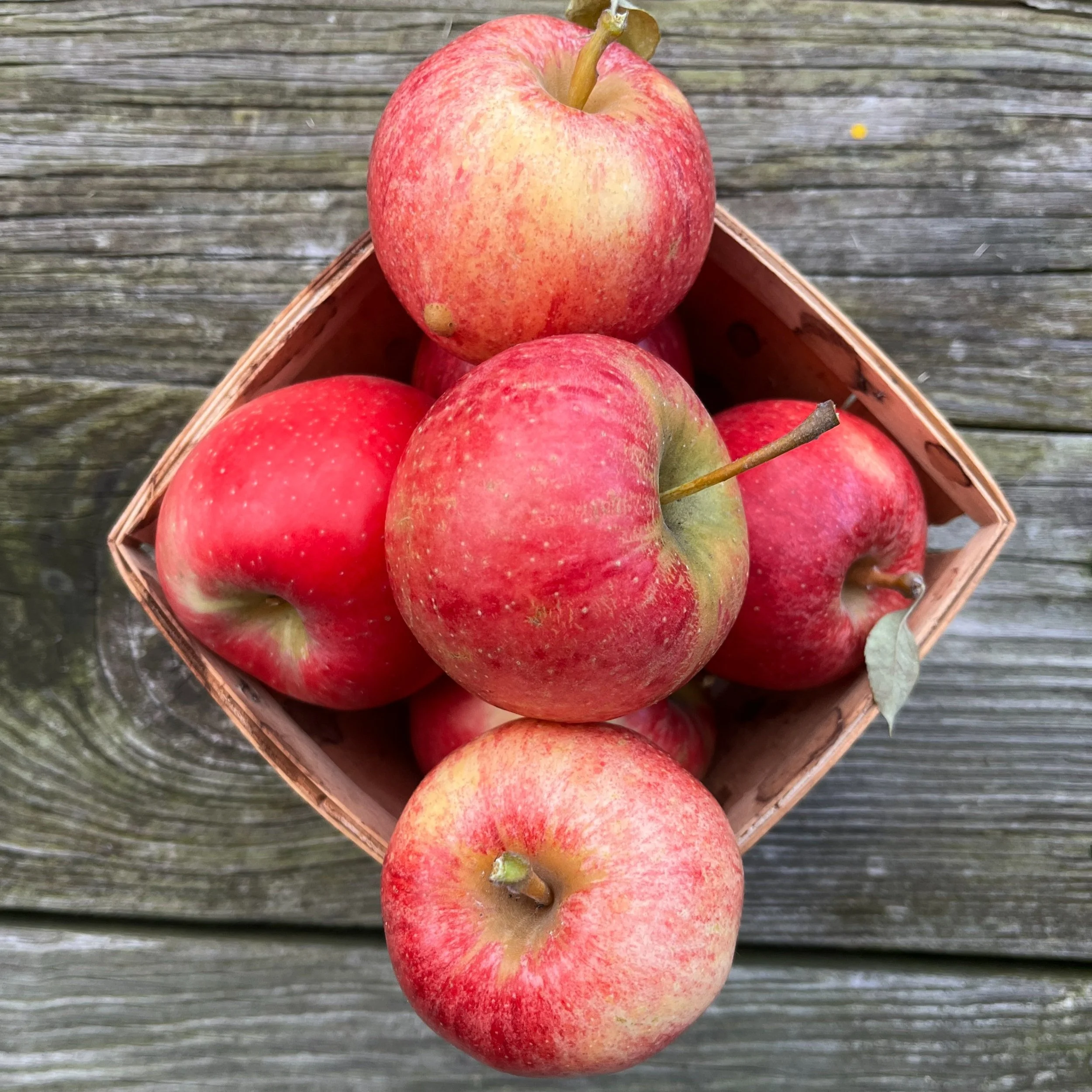 BrynTegFarm_FirestormHoneyCrispVarieties_1.jpg
