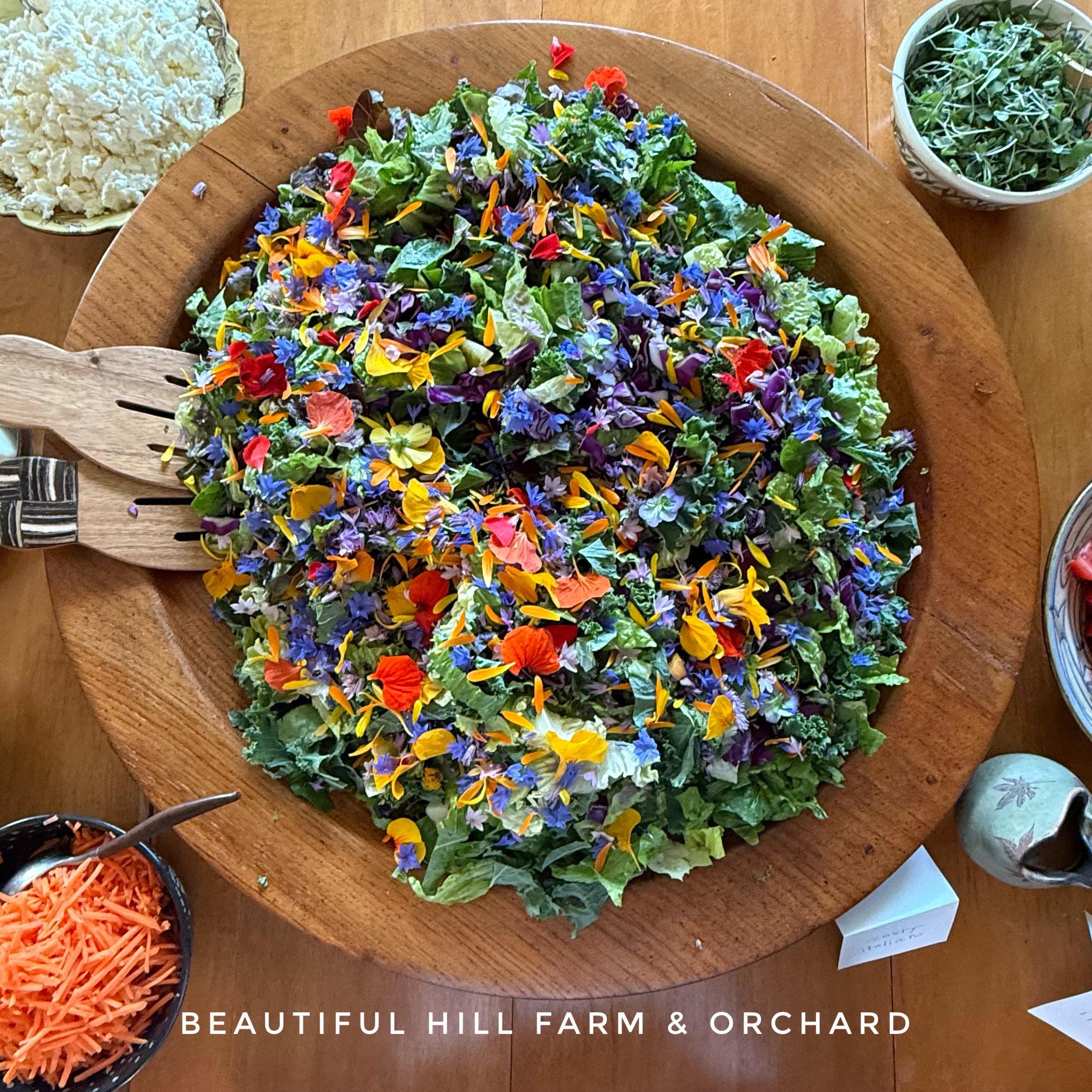 EdibleFlowers-BrynTegFarm-16.JPG