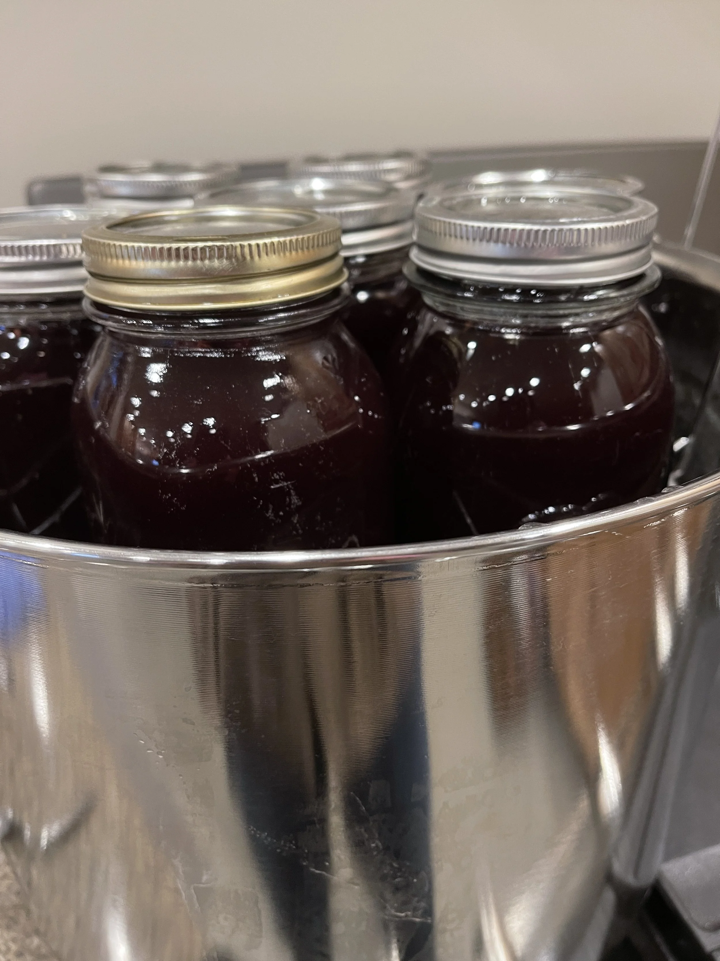 Grape Juice BT 1.jpeg