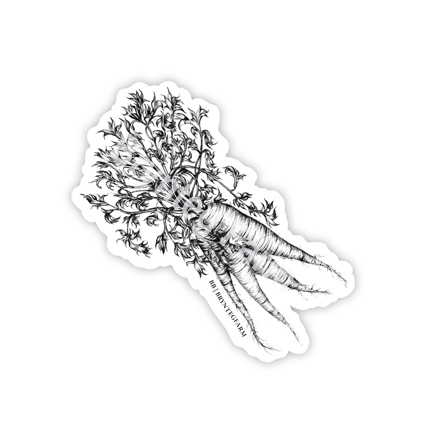Carrots Sticker 4"