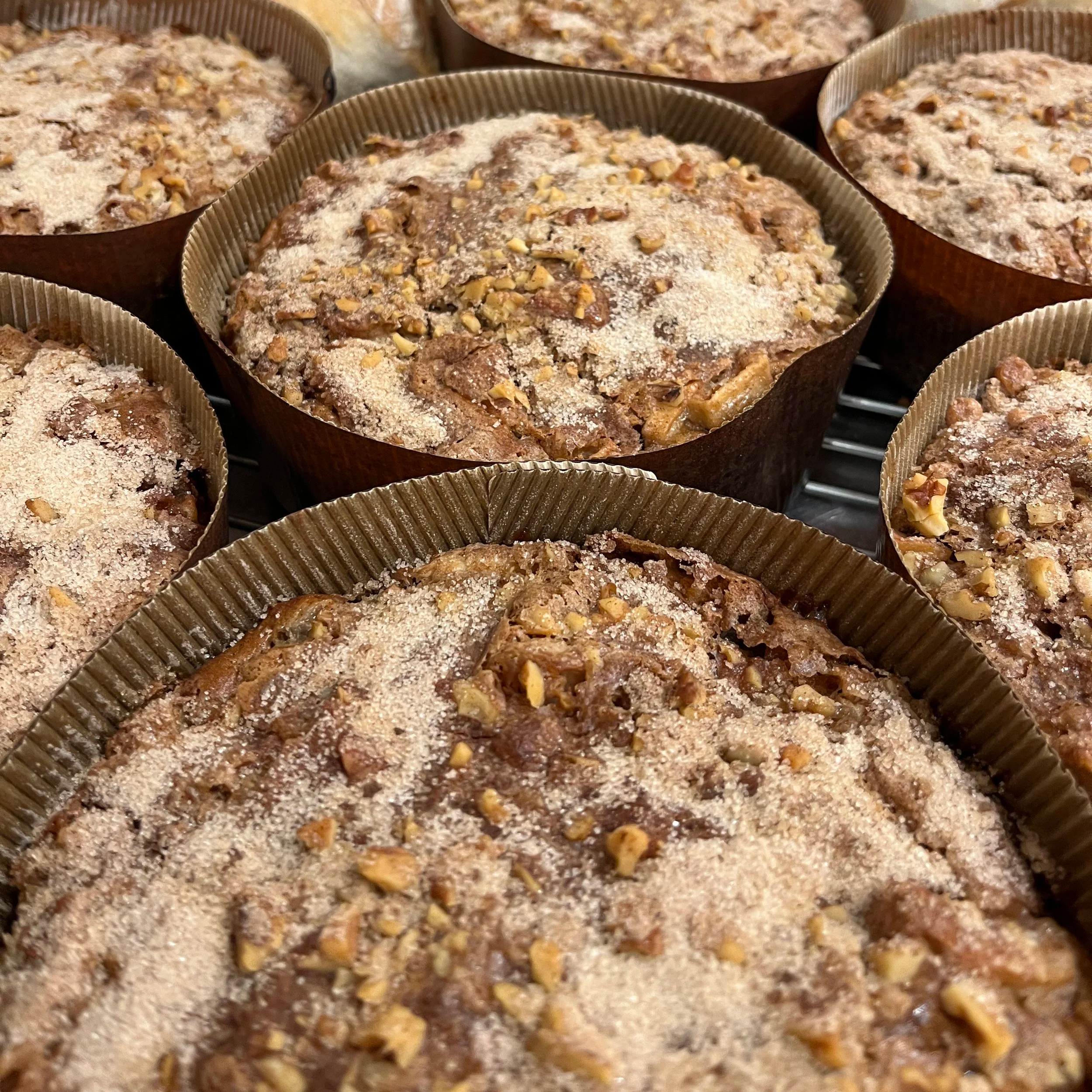 AppleSourdoughCoffeeCake-BrynTegFarm-1.png