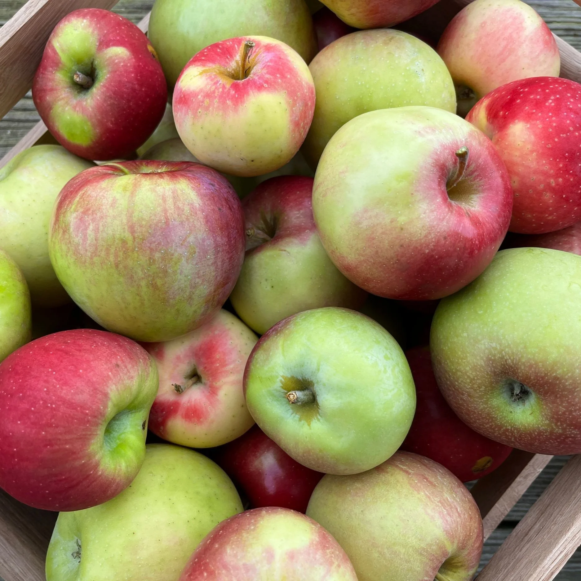 BrynTegFarm_AppleMix_7.jpg