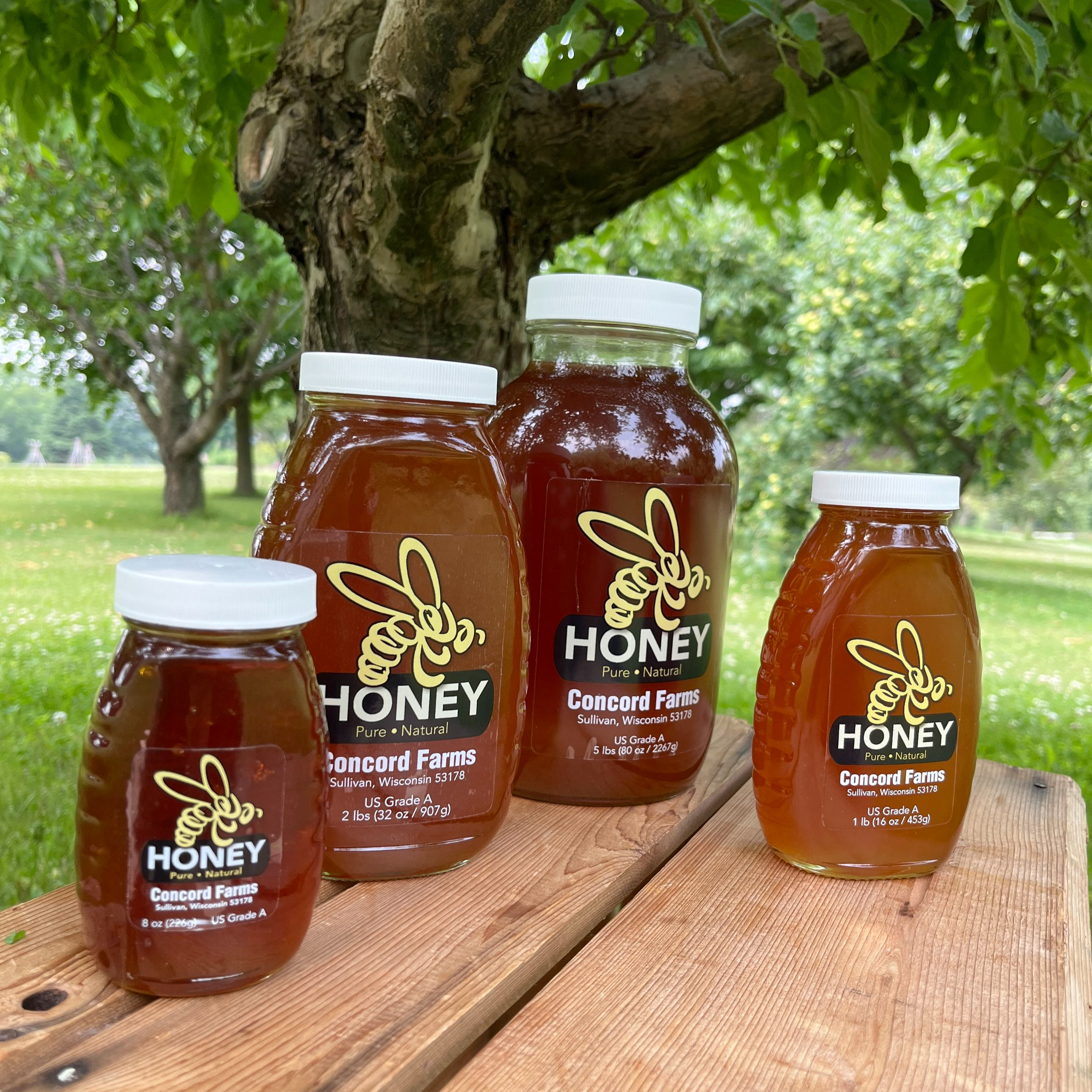 HoneyAll_BrynTegFarm_6.png