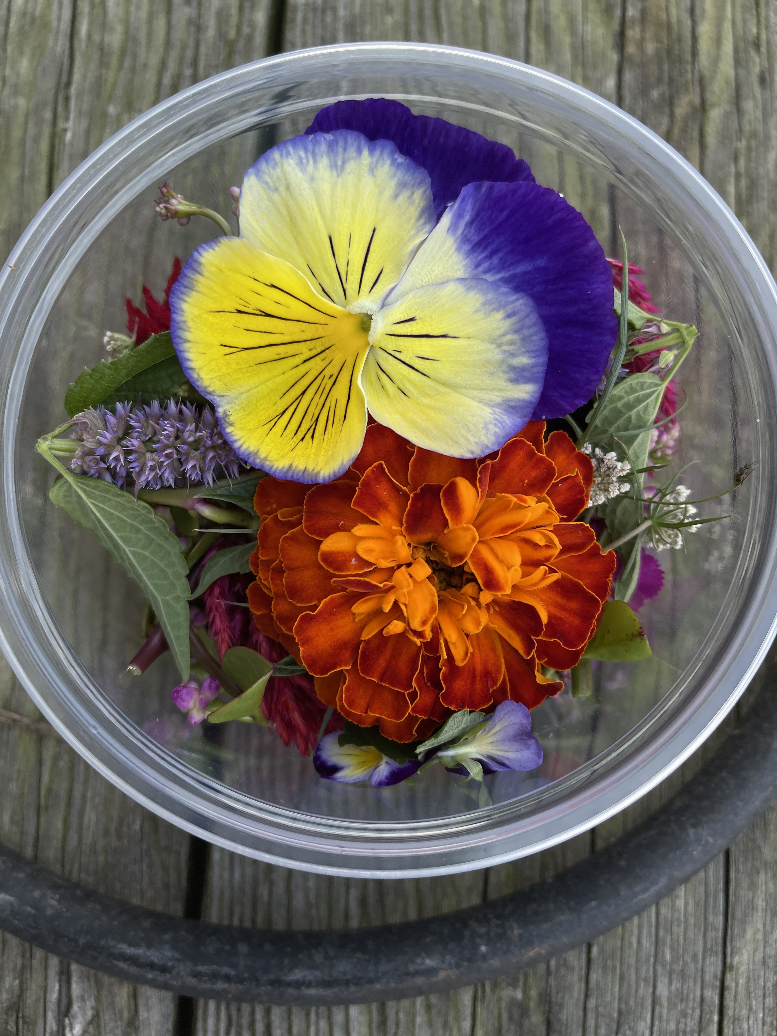EdibleFlowers-BrynTegFarm-1.JPEG