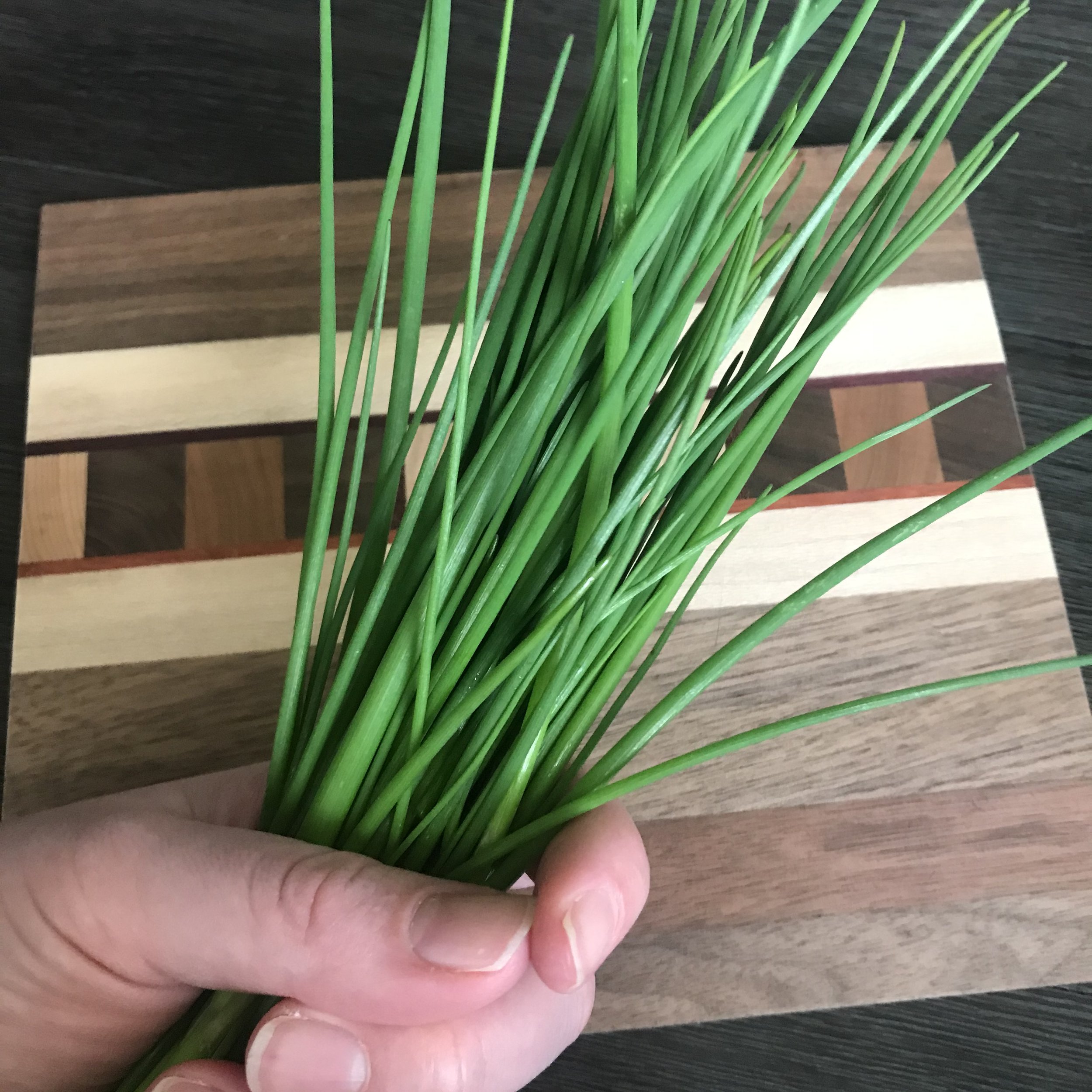 Chives_BrynTegFarm_1.jpg