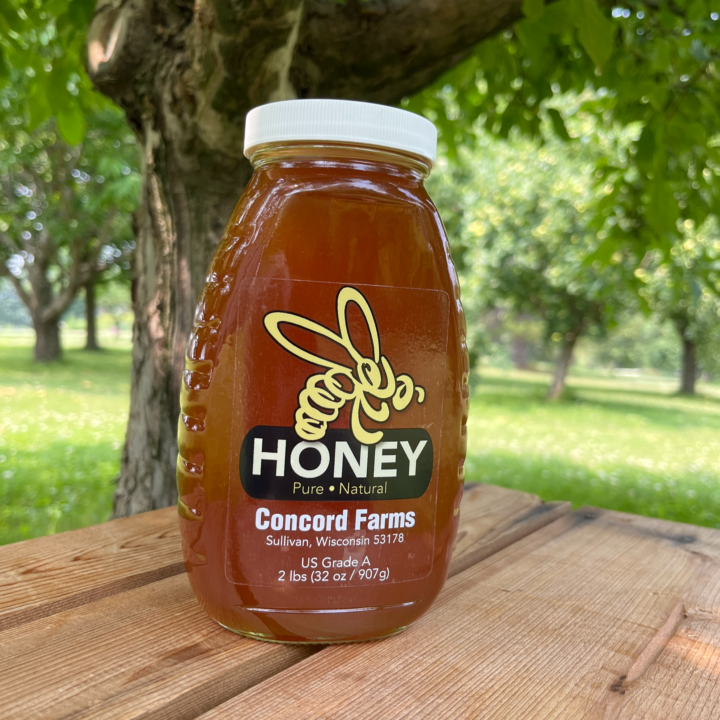 Honey2lb_BrynTegFarm_3.png