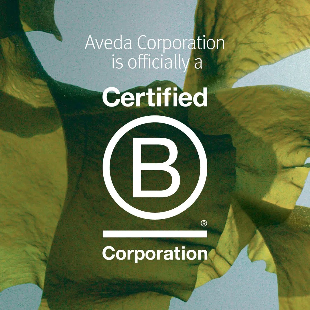 B Corp.jpg