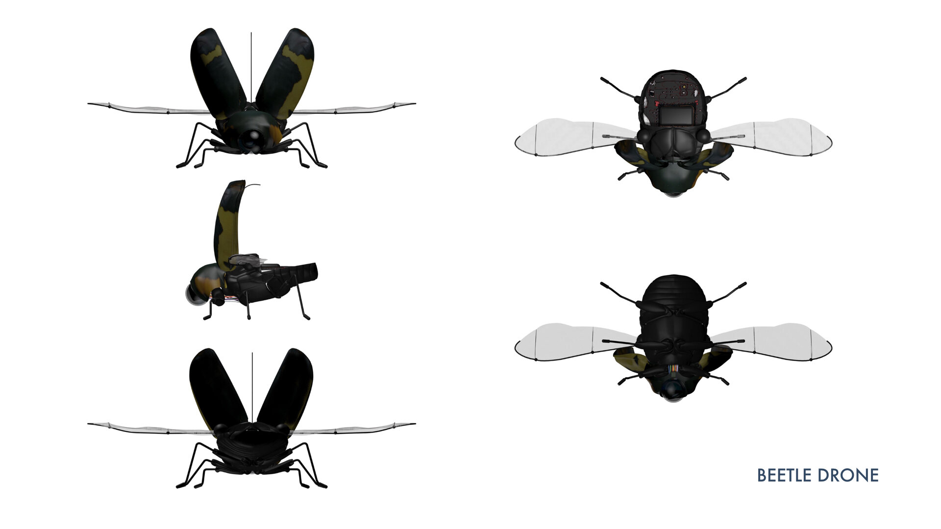 WEB HEADERS2.012.jpeg