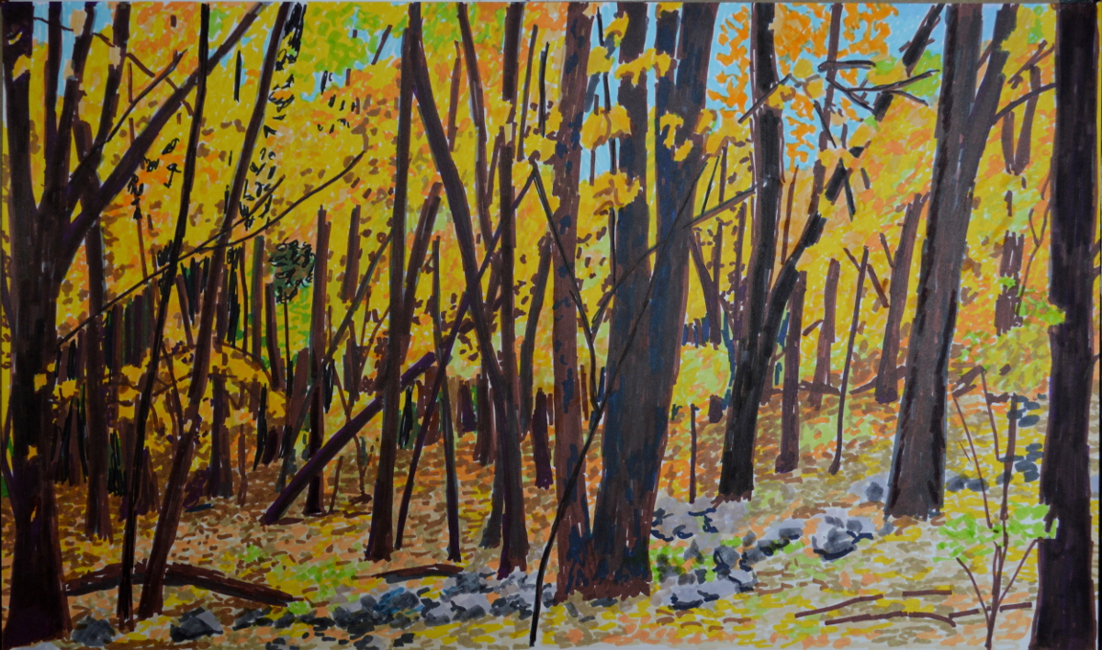 Elka Park Woods, markers on paper, 12 by 18 inches.