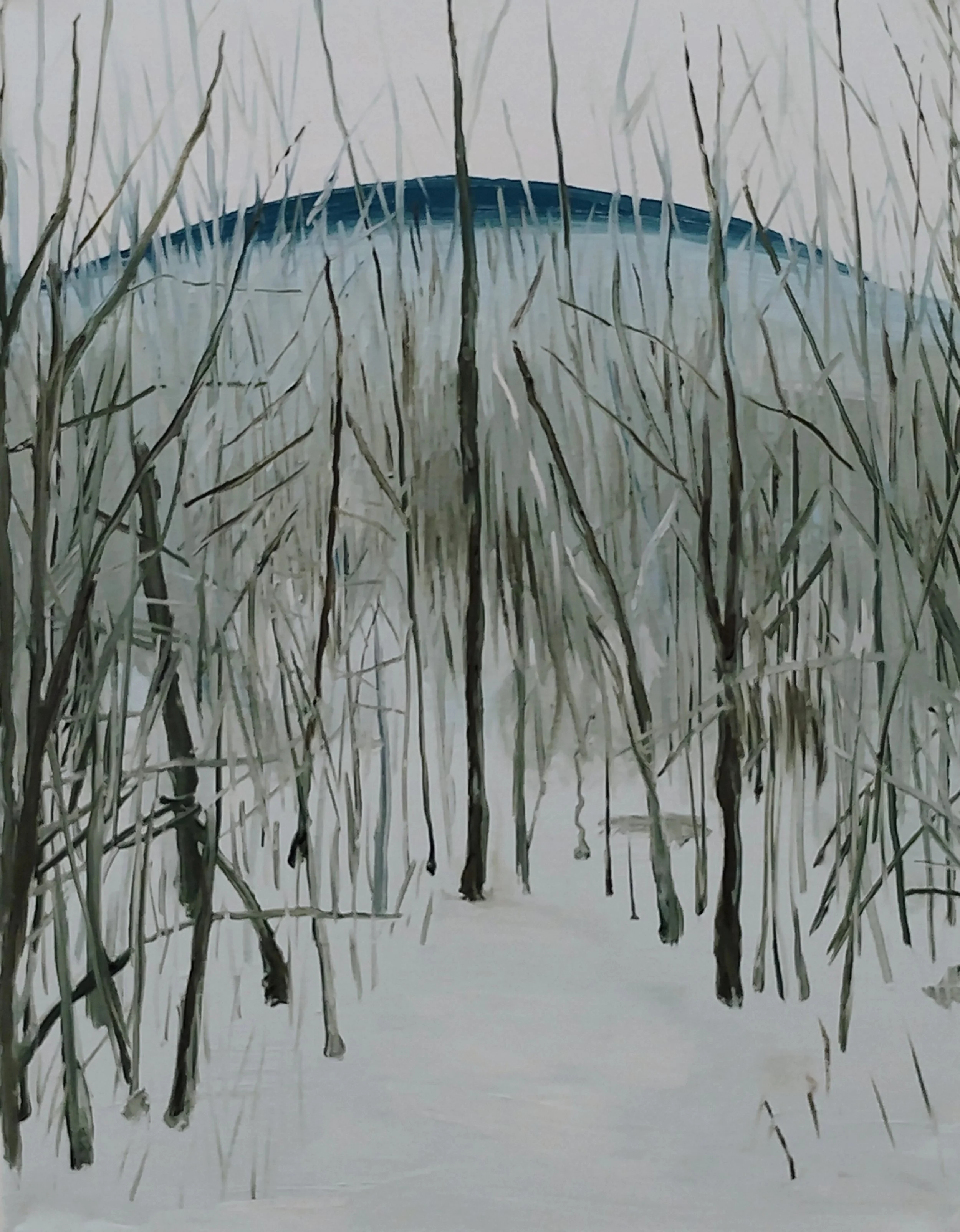 Mountain Fog through Young Trees, oil on canvas, 18 by 14 in, 2026