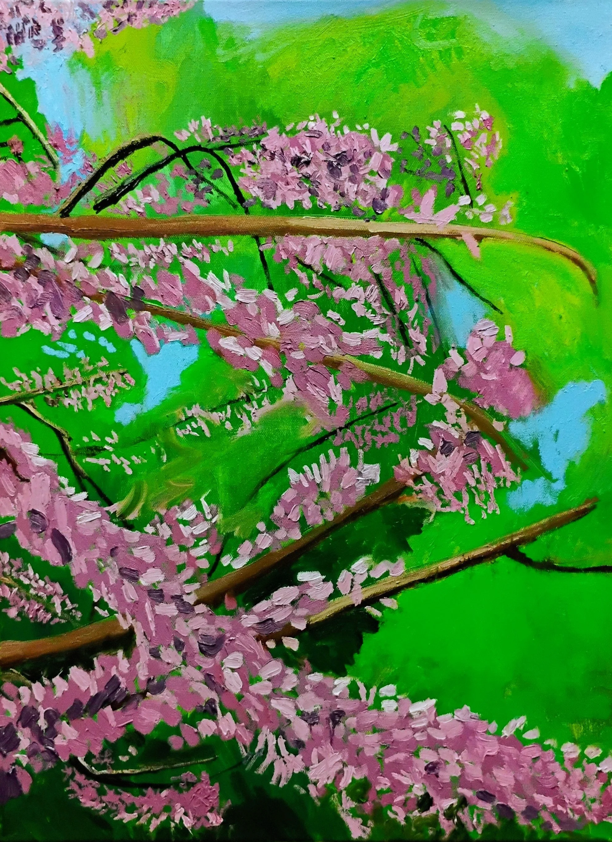 Eastern Redbud in Inwood, 30 by 20 inches, 2026