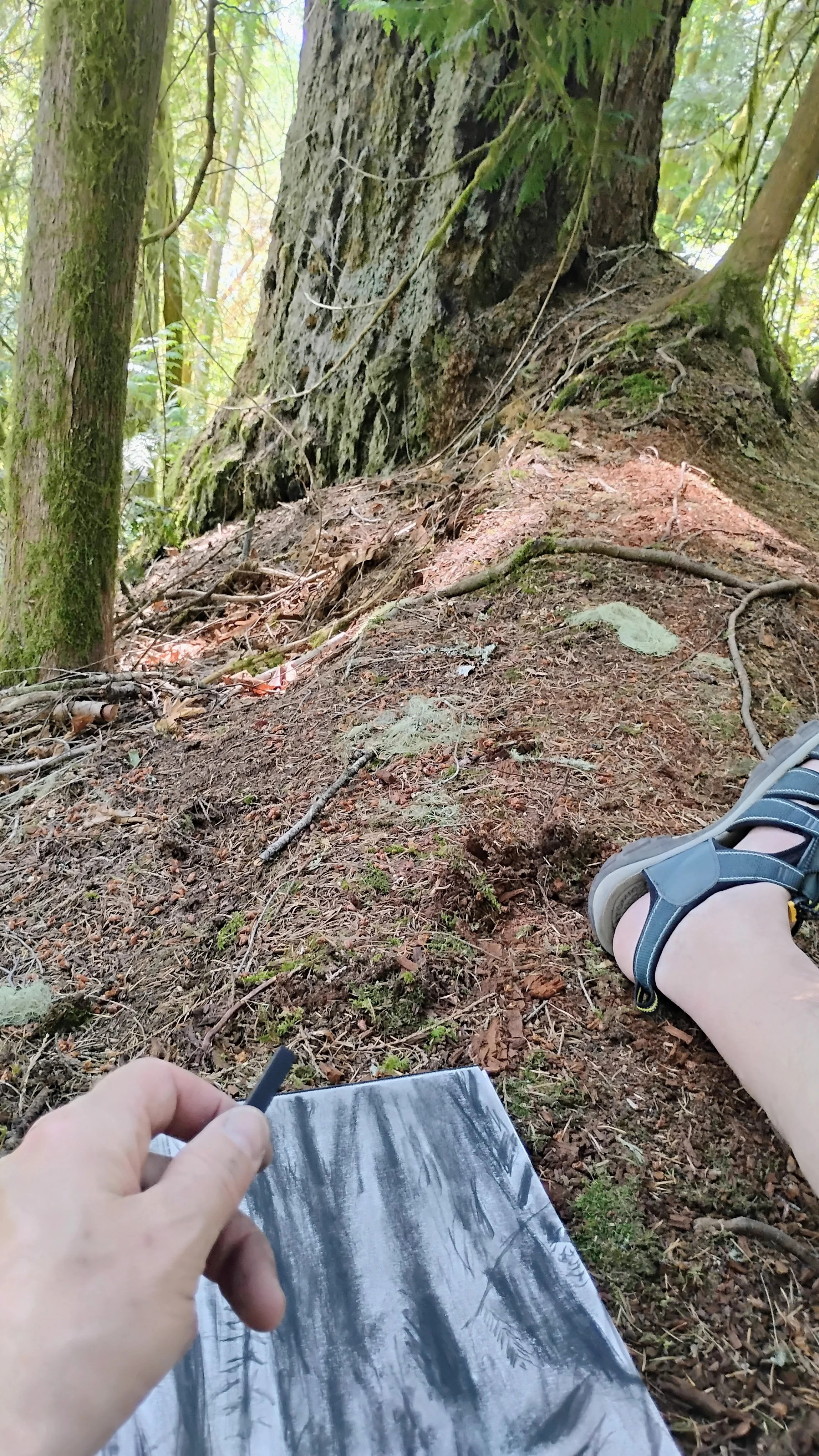 James Rose sitting on forest floor drawing.jpg