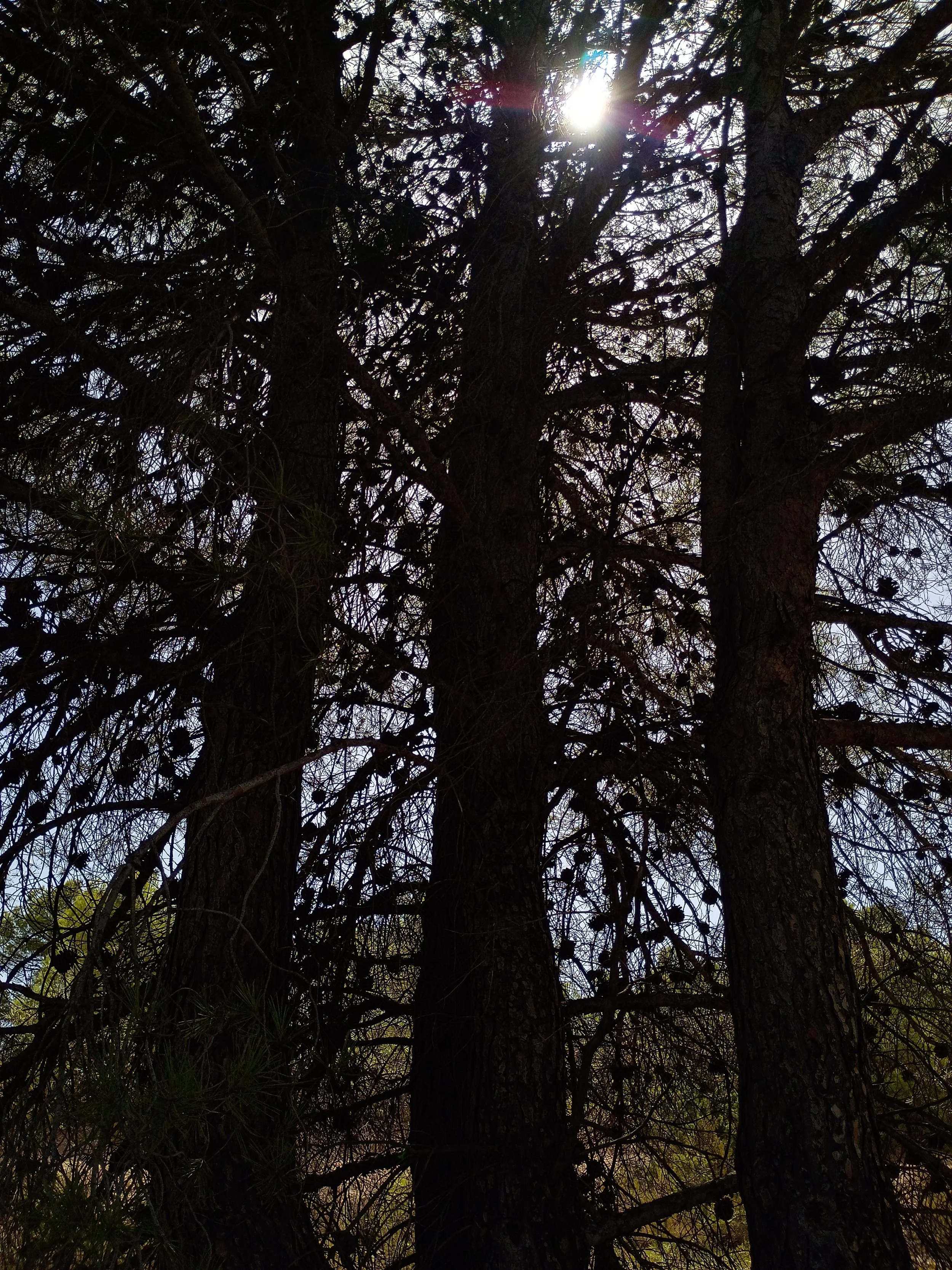 IMG_20260825_125644924_HDR.jpg
