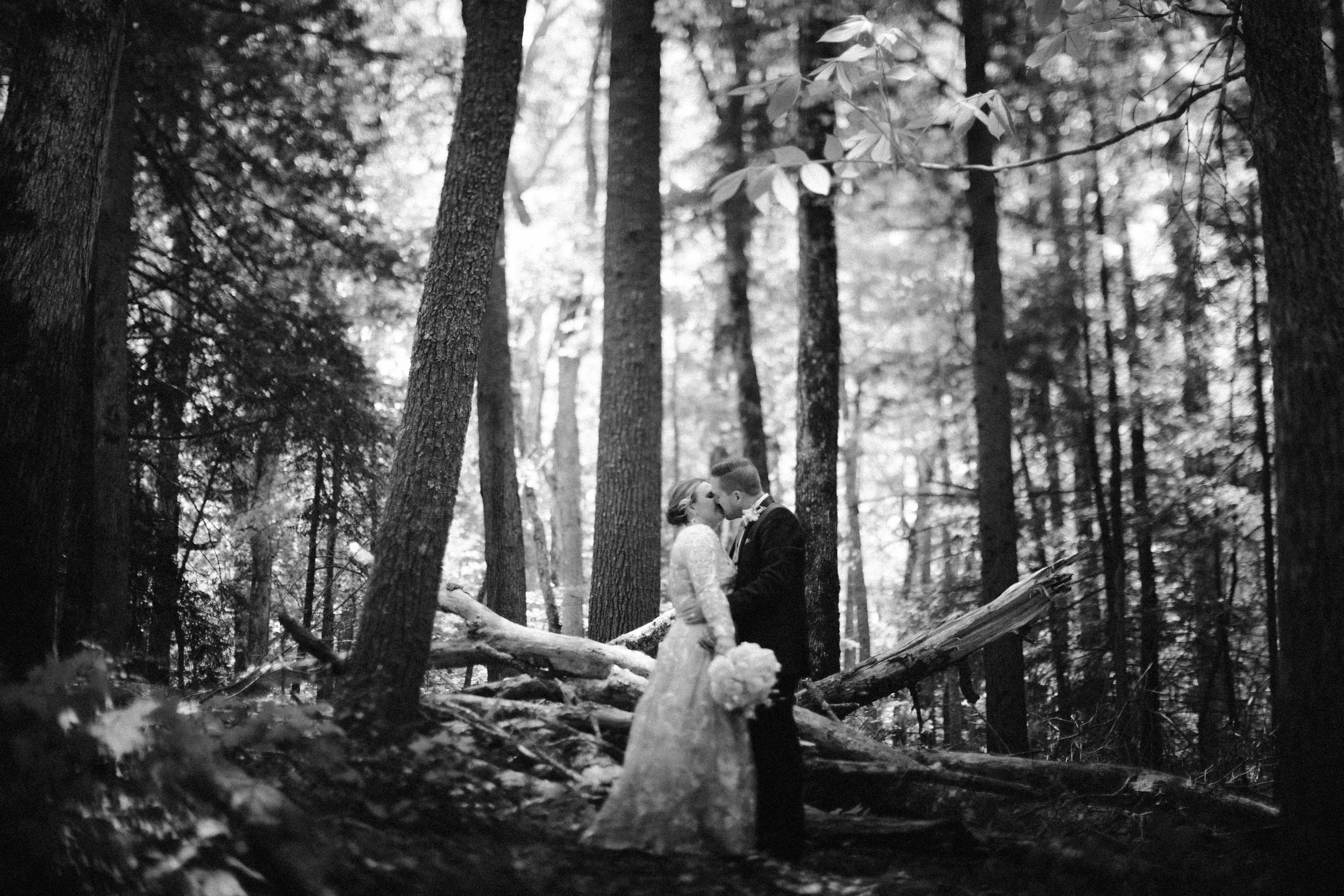 cades cove wedding by saul cervantes julia and burton-1.jpg