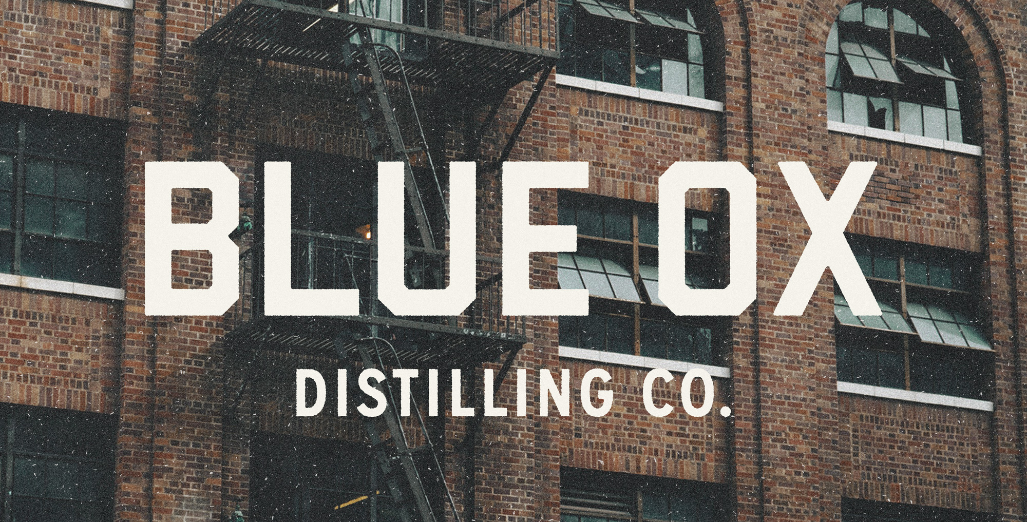 BlueOx_Header2.jpg