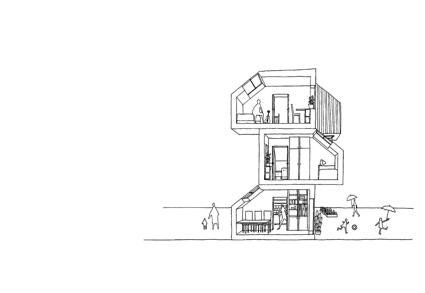 Käbisection jpg.jpg