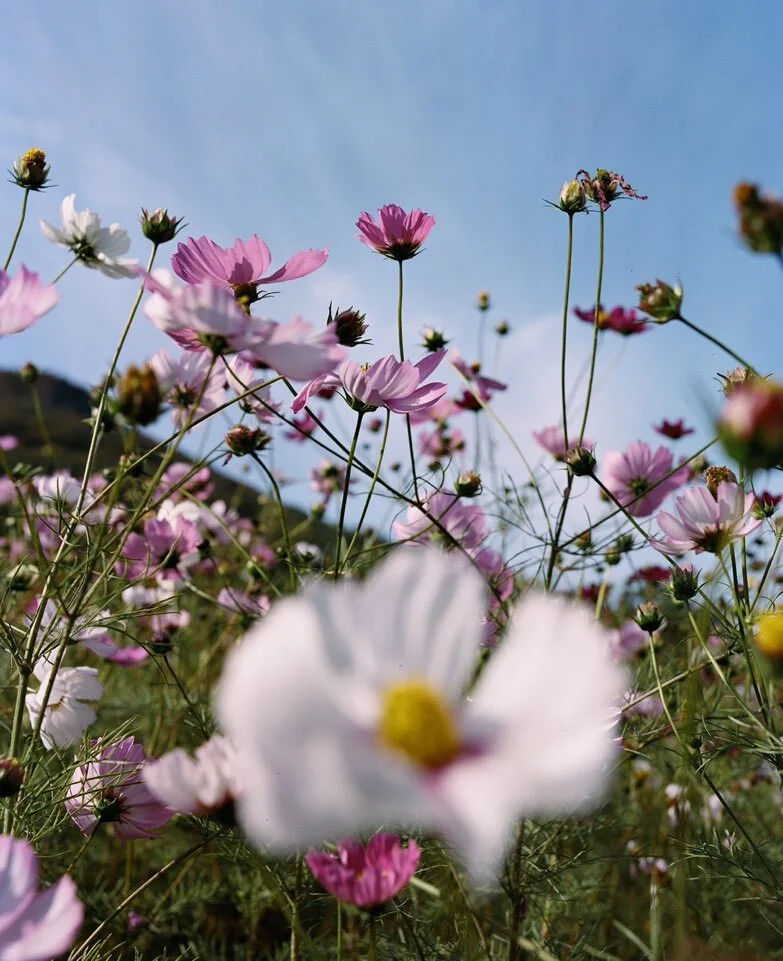 KakaoTalk_Photo_2020-11-14-오전 10-40-46.jpeg