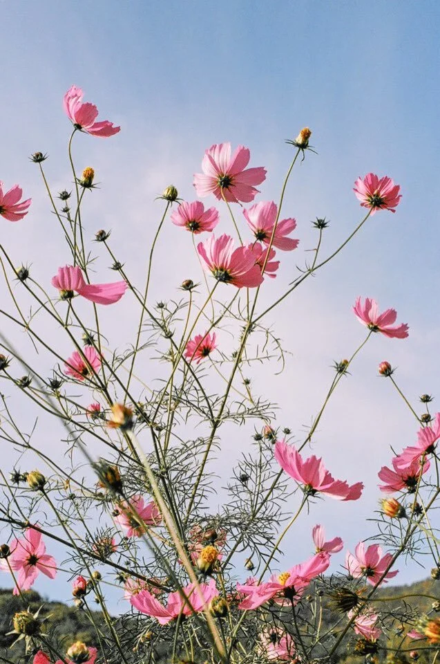 KakaoTalk_Photo_2020-11-14-오전 10-40-34.jpeg