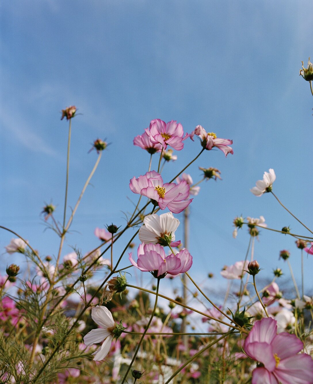 KakaoTalk_Photo_2020-11-14-오전 10-40-59.jpeg