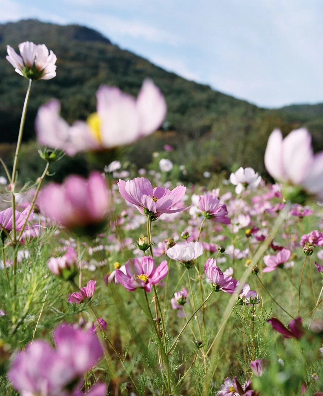 KakaoTalk_Photo_2020-11-14-오전 10-41-07.jpeg