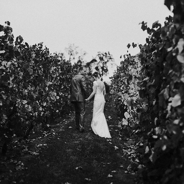 rainy day for days, so throw back to this beautiful rainy day vineyard wedding. second shot with the lovely @laura.wade.photo