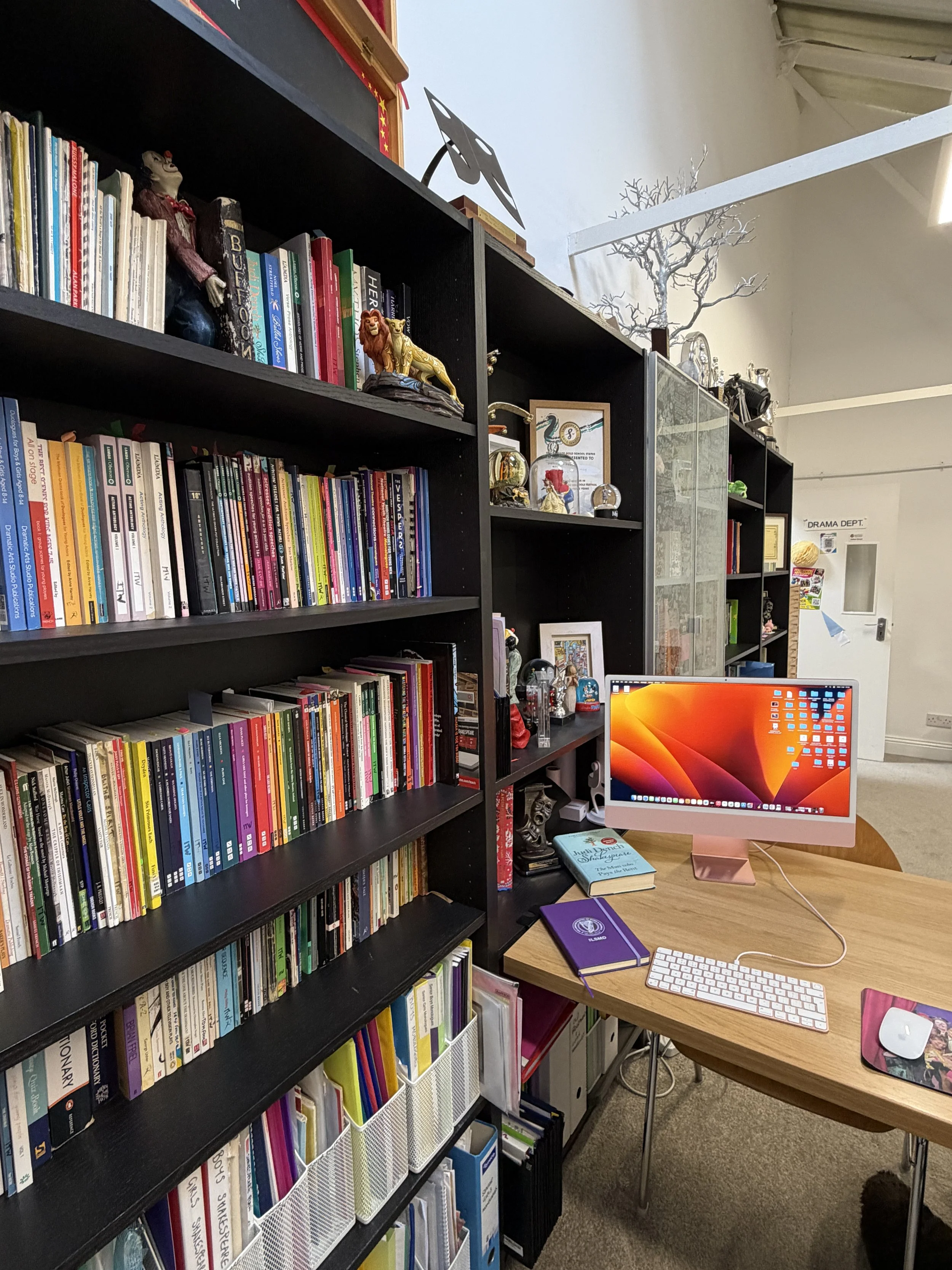 ITW Speech & Drama Library.JPG