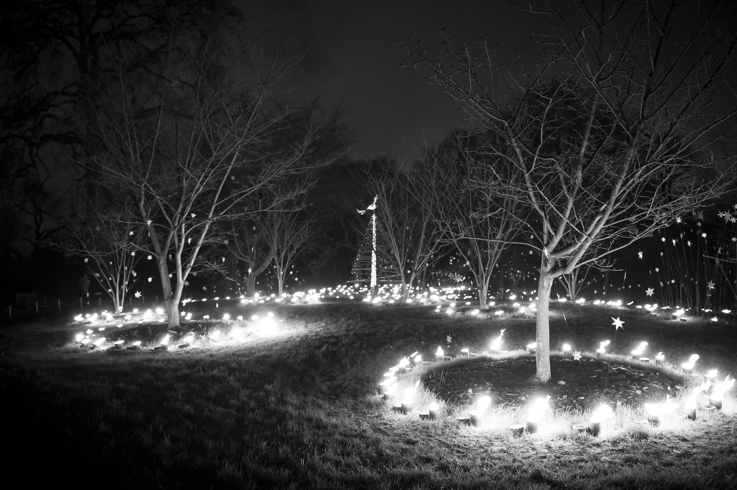 DSC_3374.jpg