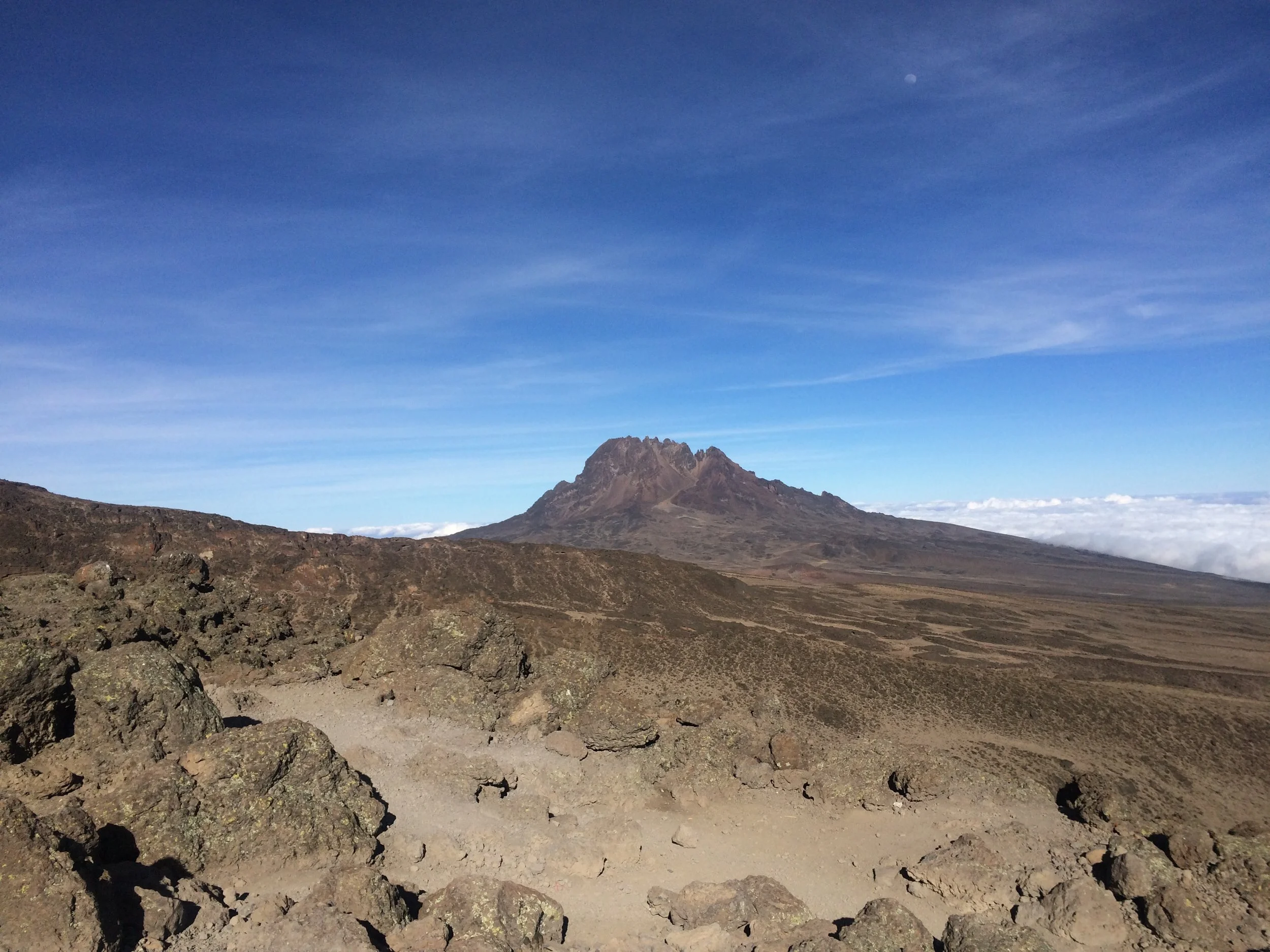 Walking on Mars