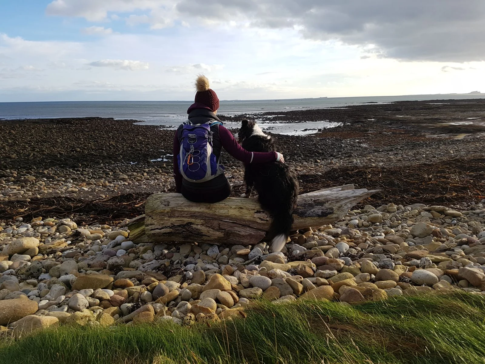 Taking in the views of the Newcastle coast from Holy Island with Gatsby
