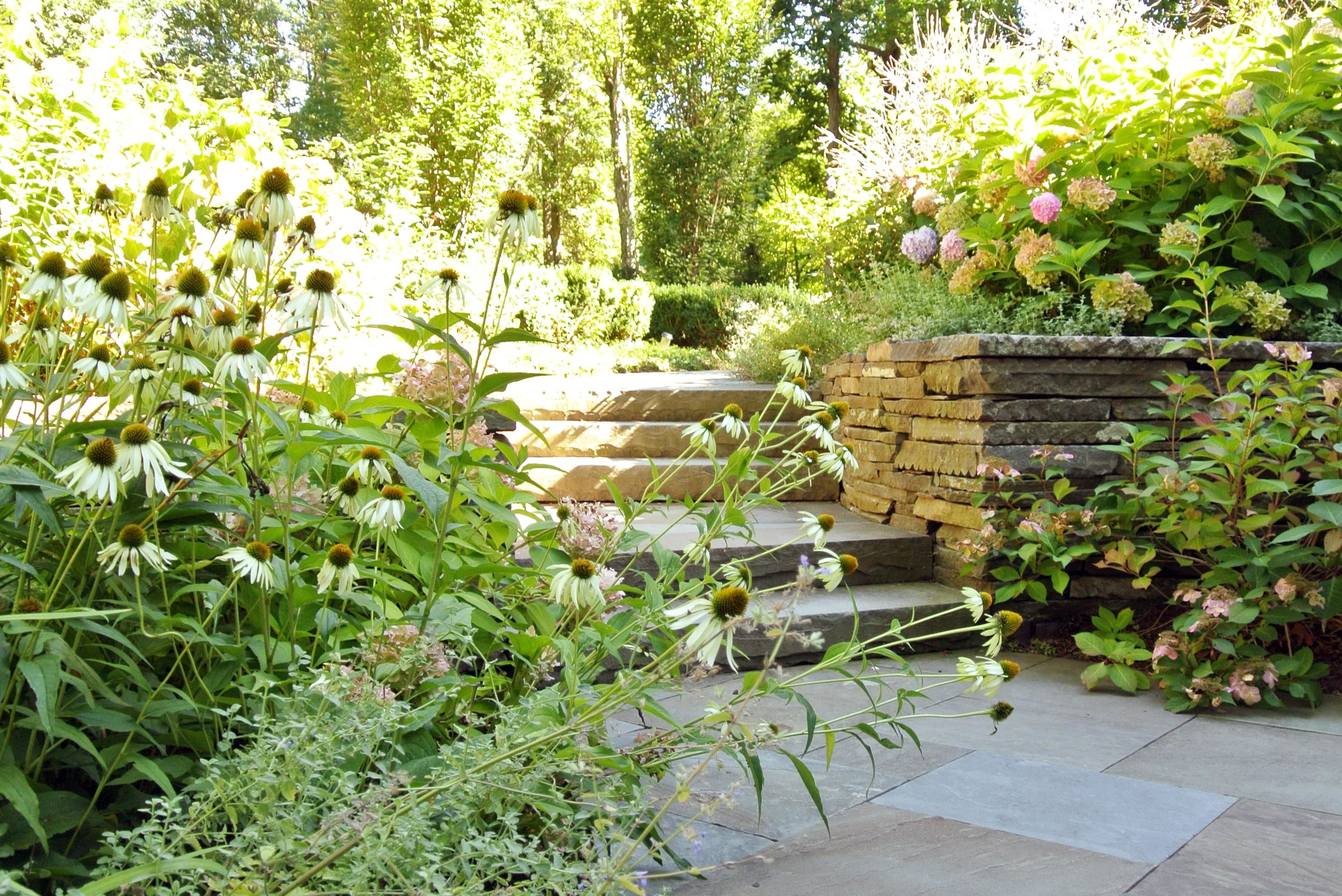 Blythe Yost landscape architecture