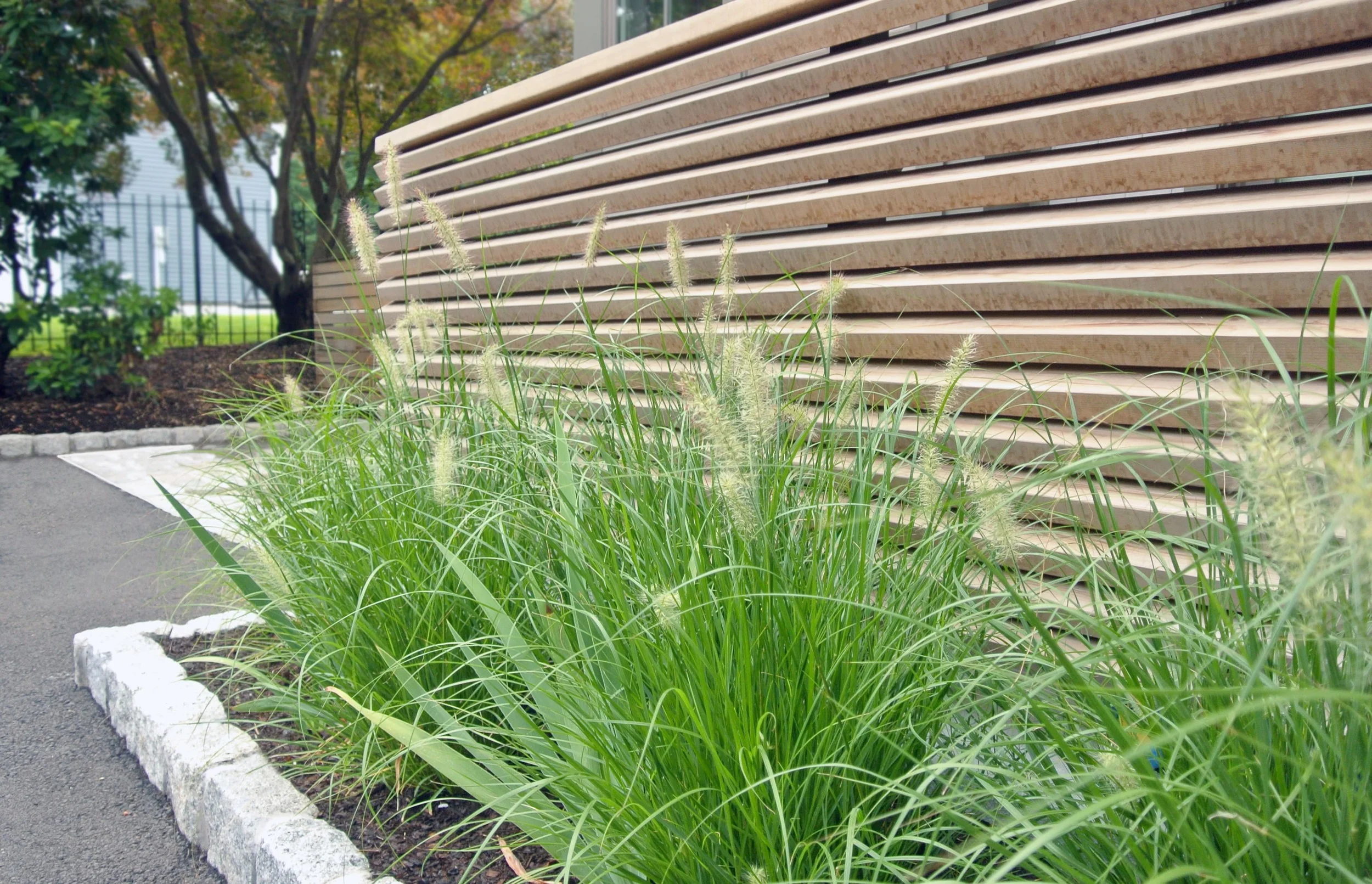 Blythe Yost landscape architecture