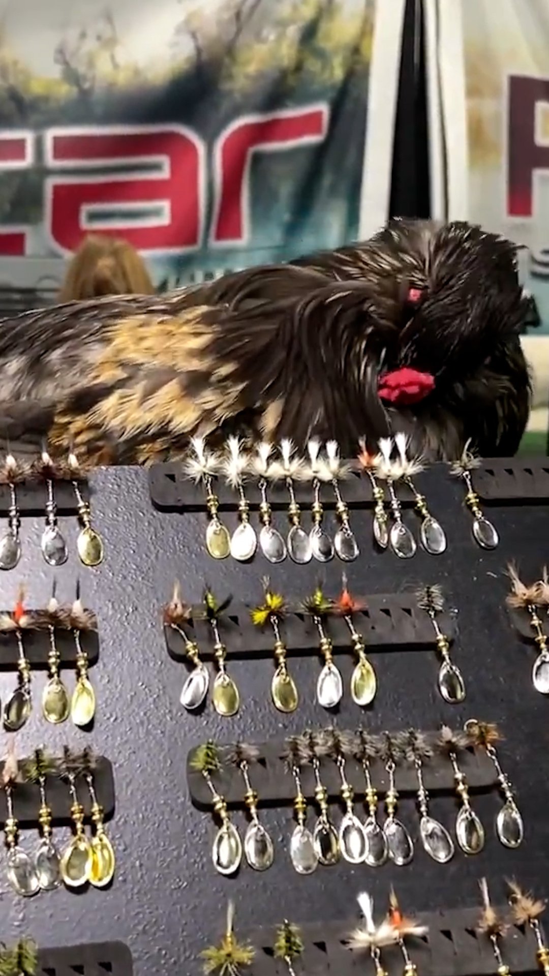 The Fly Fishing Show Denver, CO Wood Fly Fishing net Handcrafted Custom Fly Fishing net made