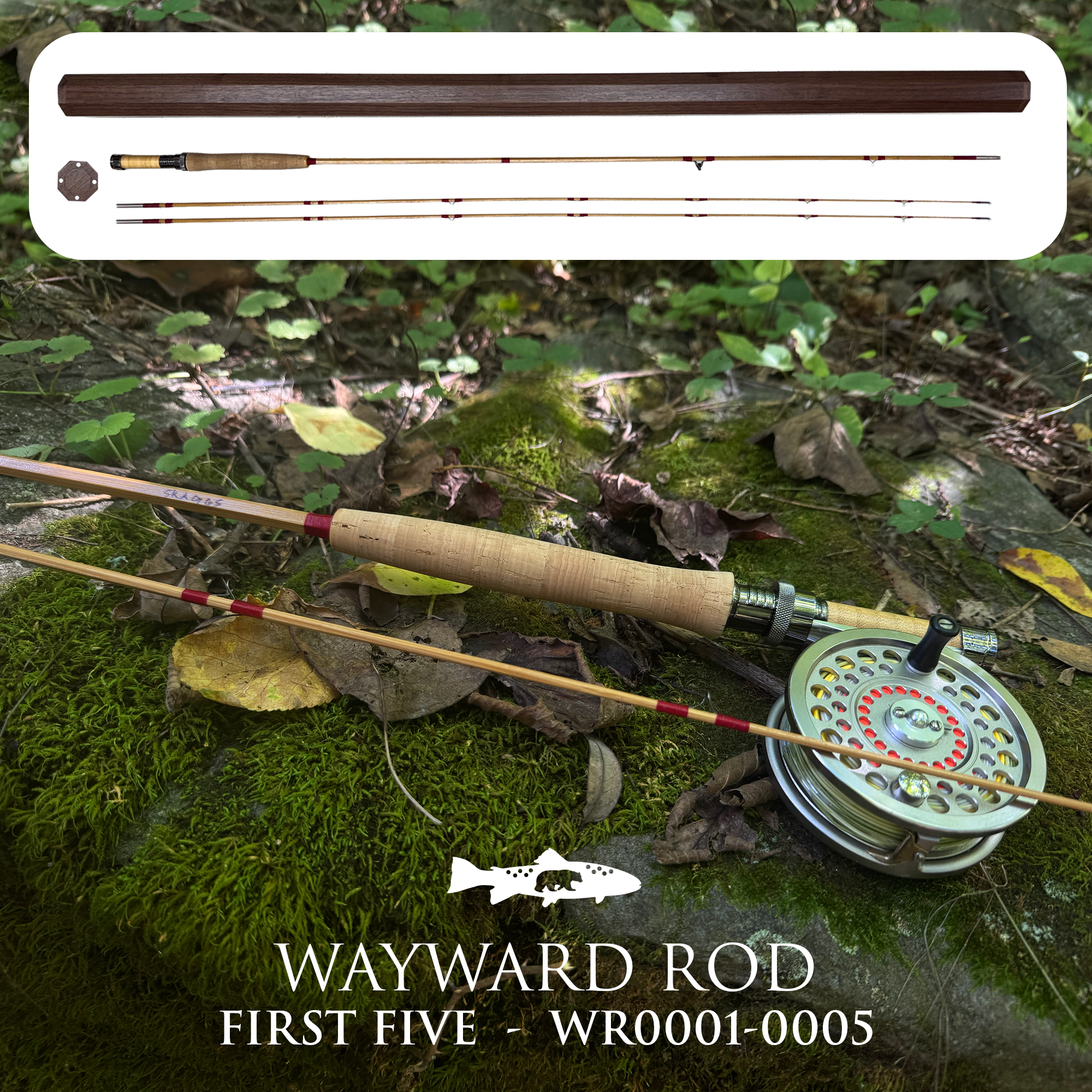 MainTEXT AND -Image-Bwooden-bamboo-cane-fly-fishing-rods_0011_DSC02206.png