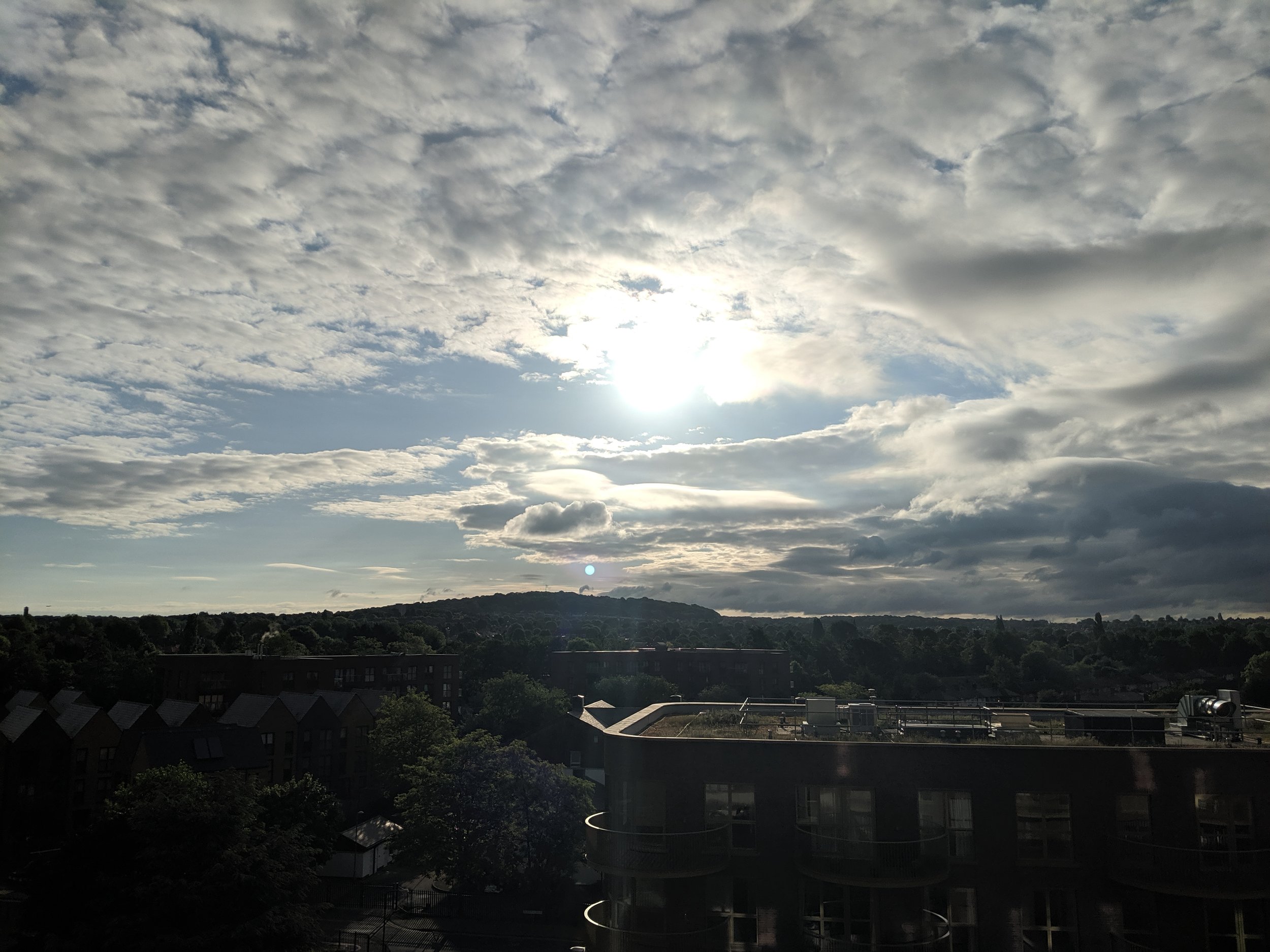 IMG_20190528_064519.jpg