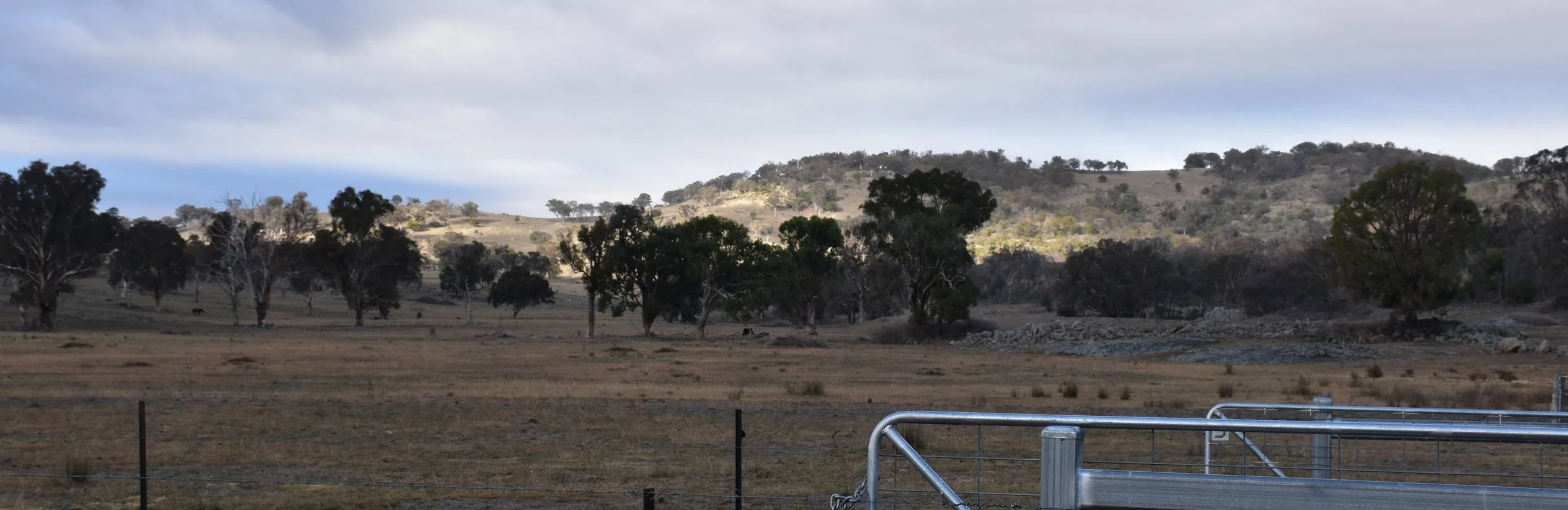 Myanbah is a 1,273 hectare (3,145 acres) mixed livestock and cropping operation near Yarrowyck, New England.