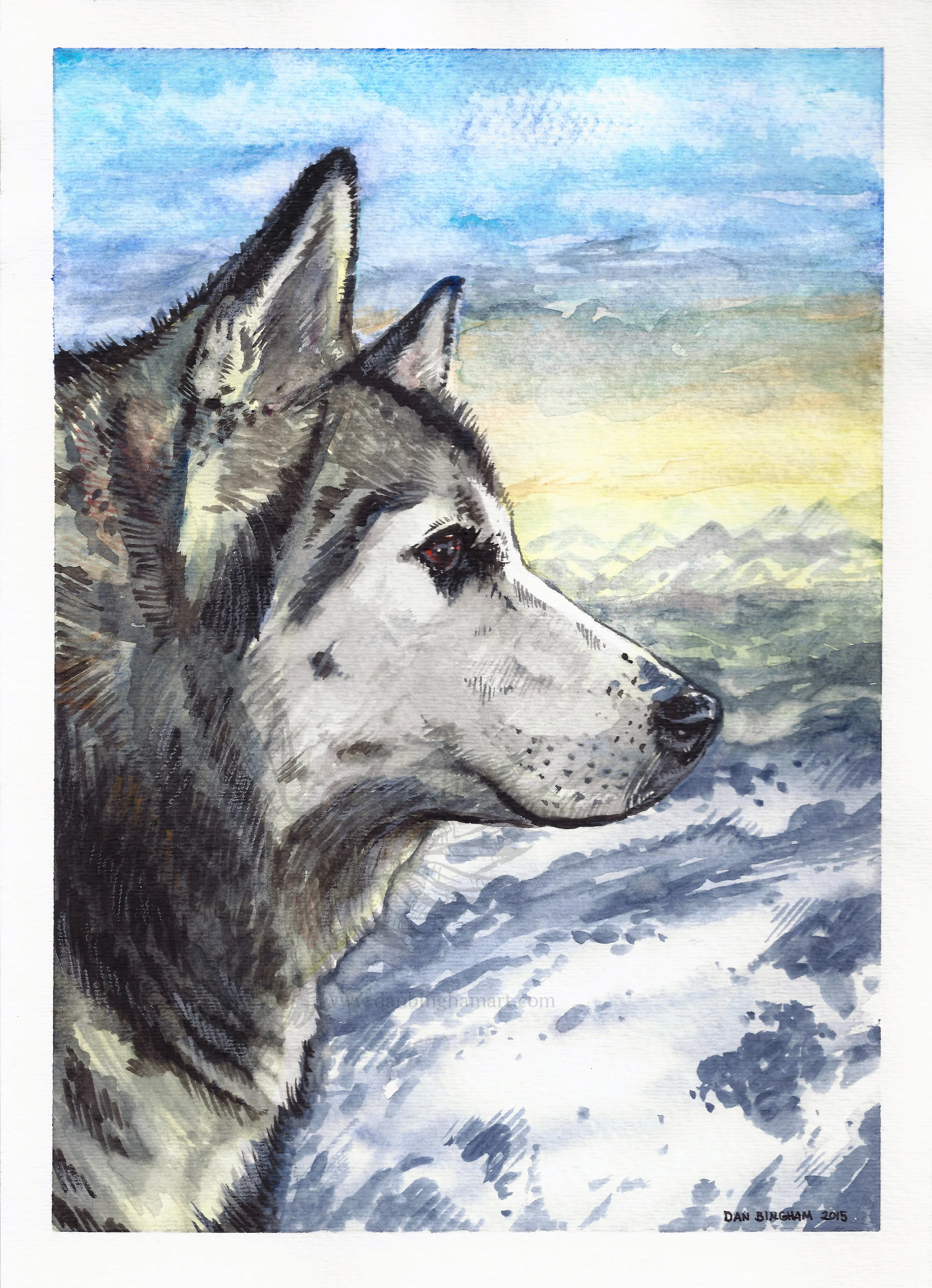 Husky Portrait