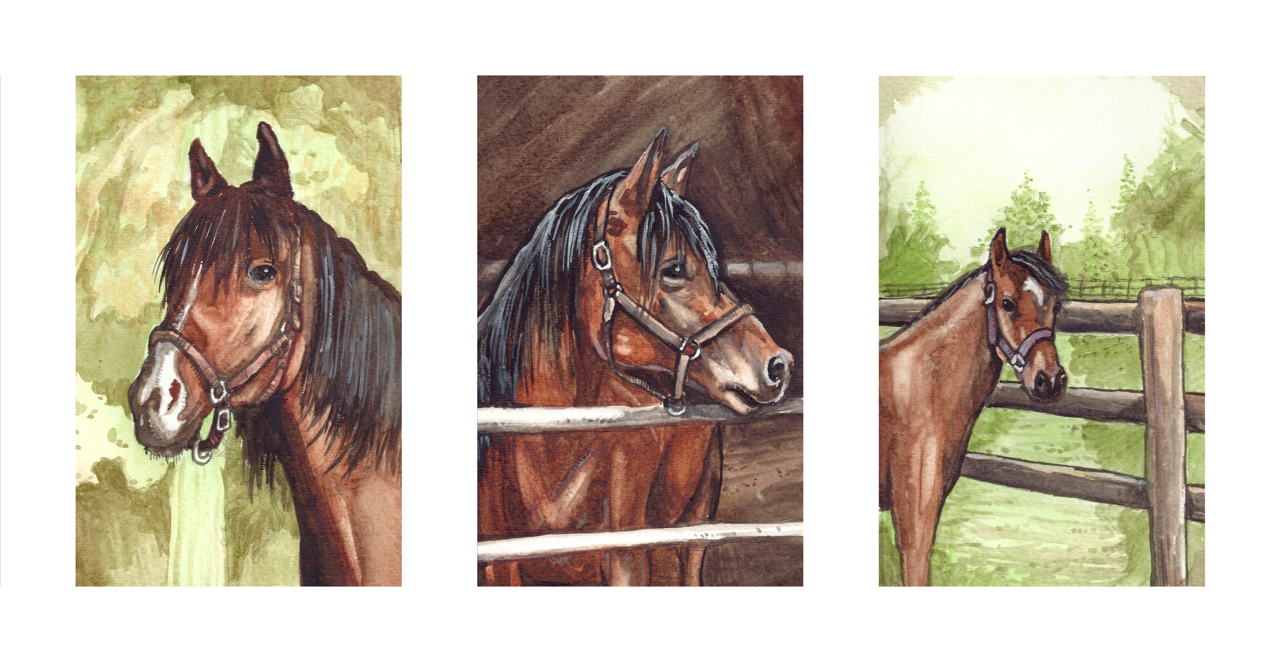 Horse Triptych Portrait
