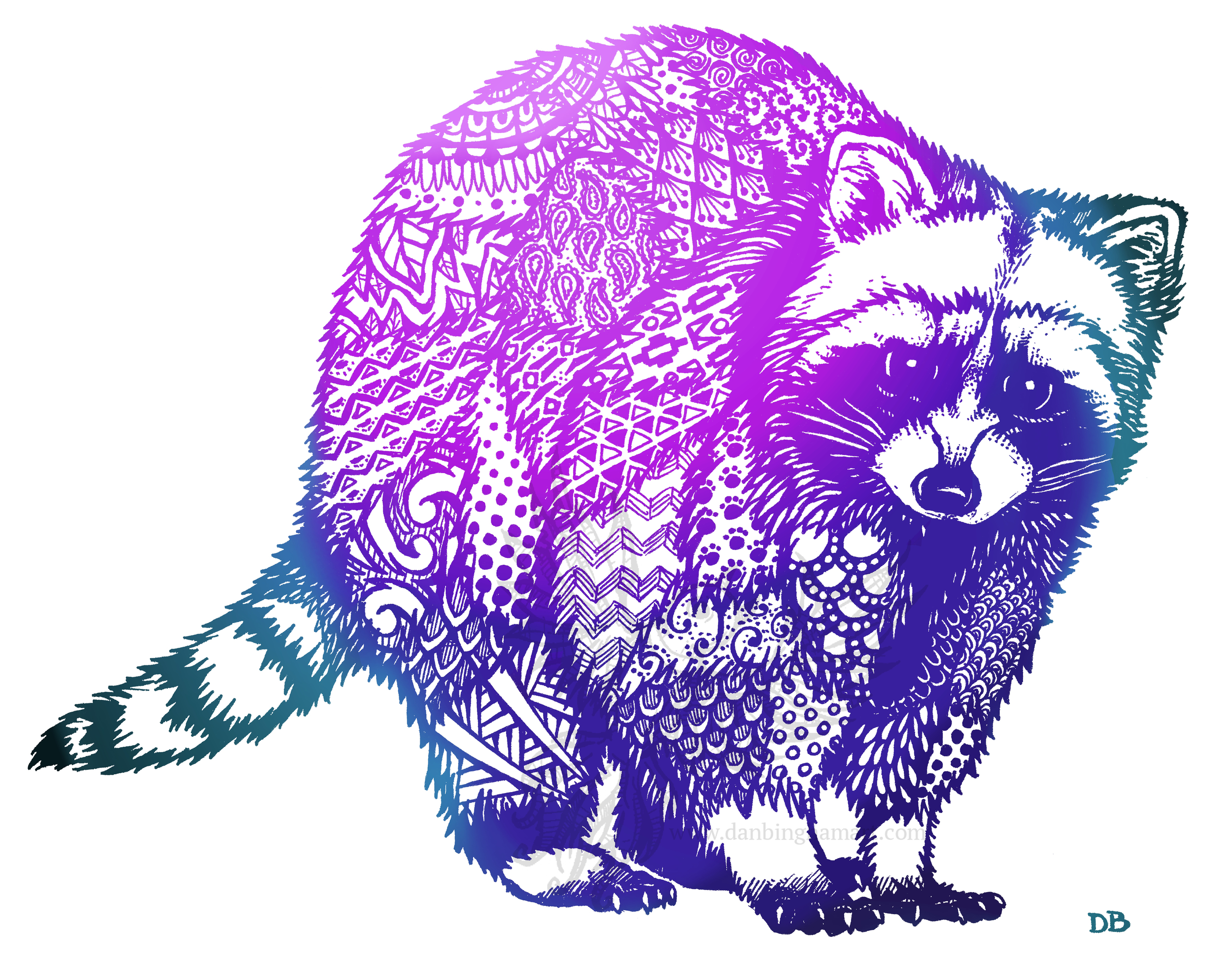 Zentangle Raccoon