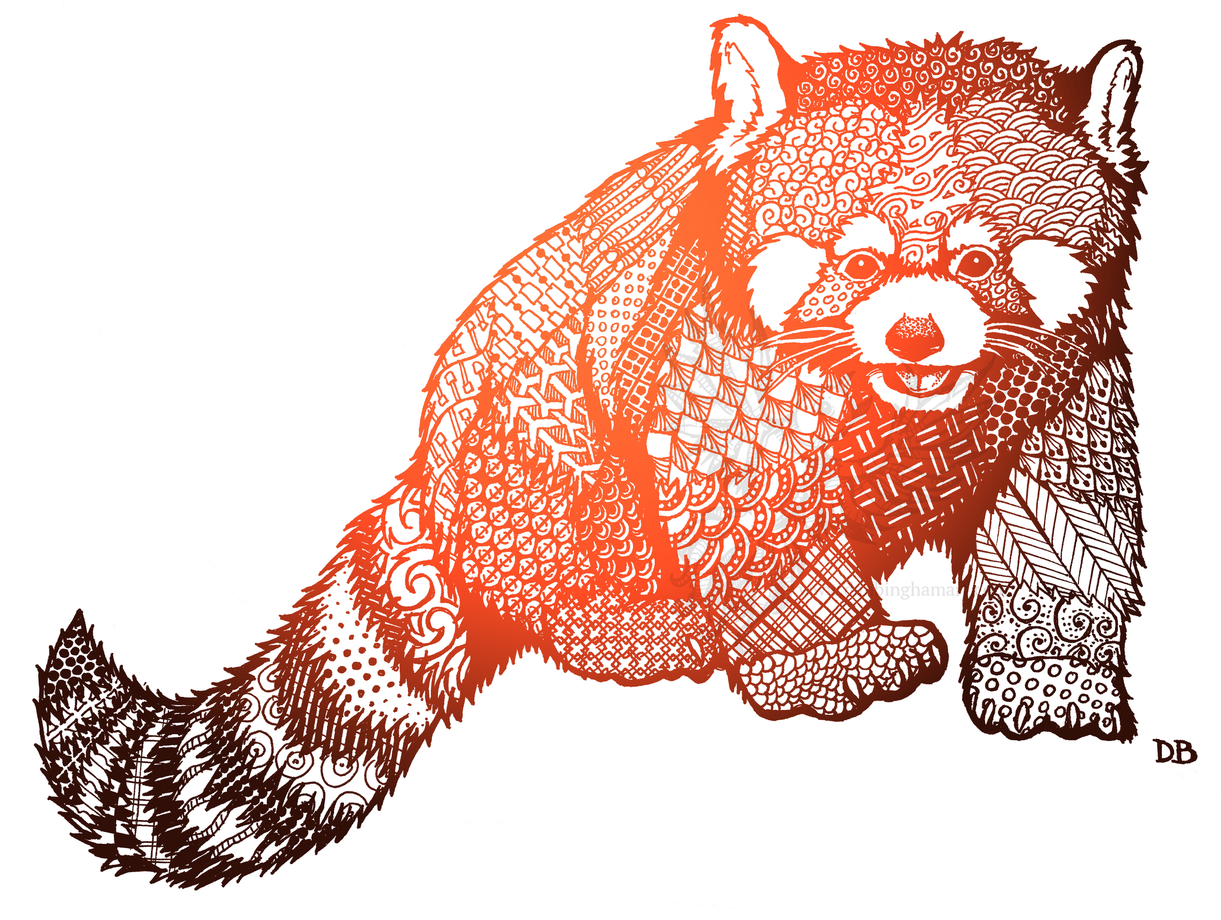 Zentangle Red Panda